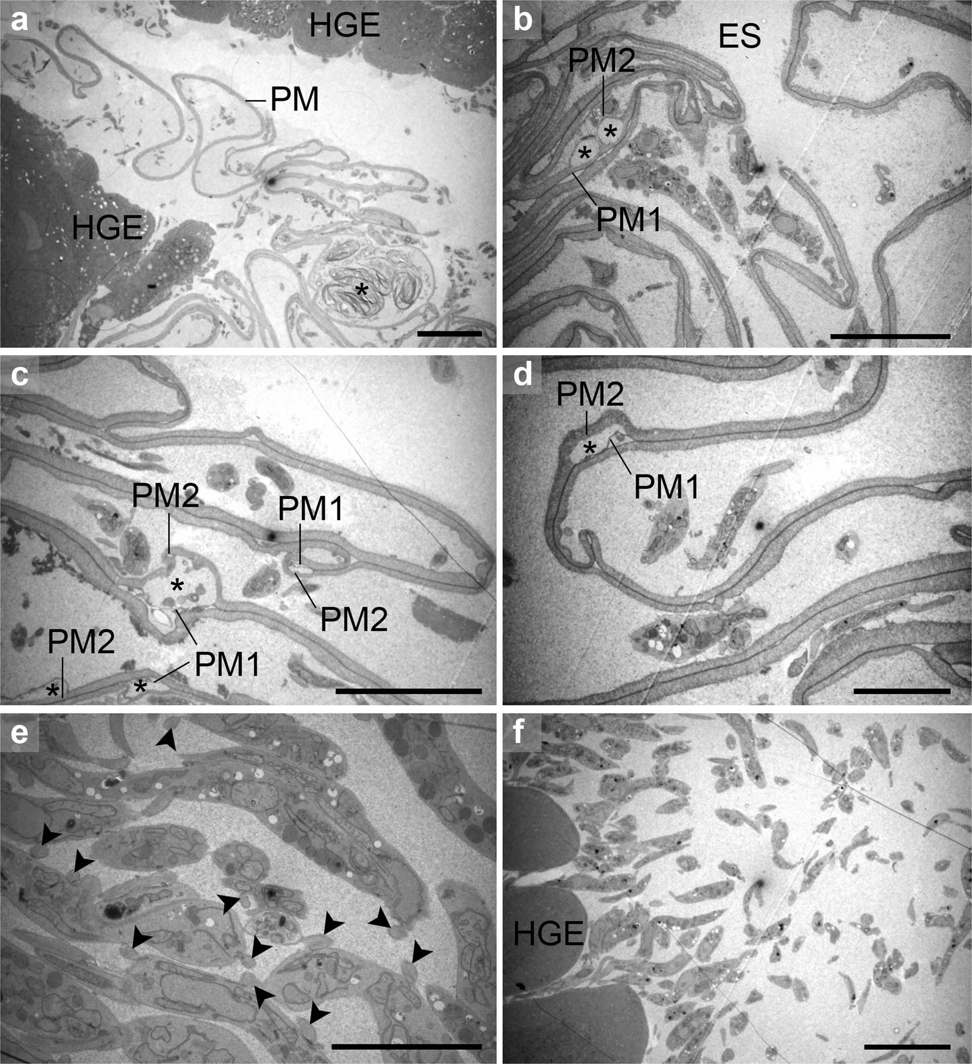 Extended Data Fig. 7