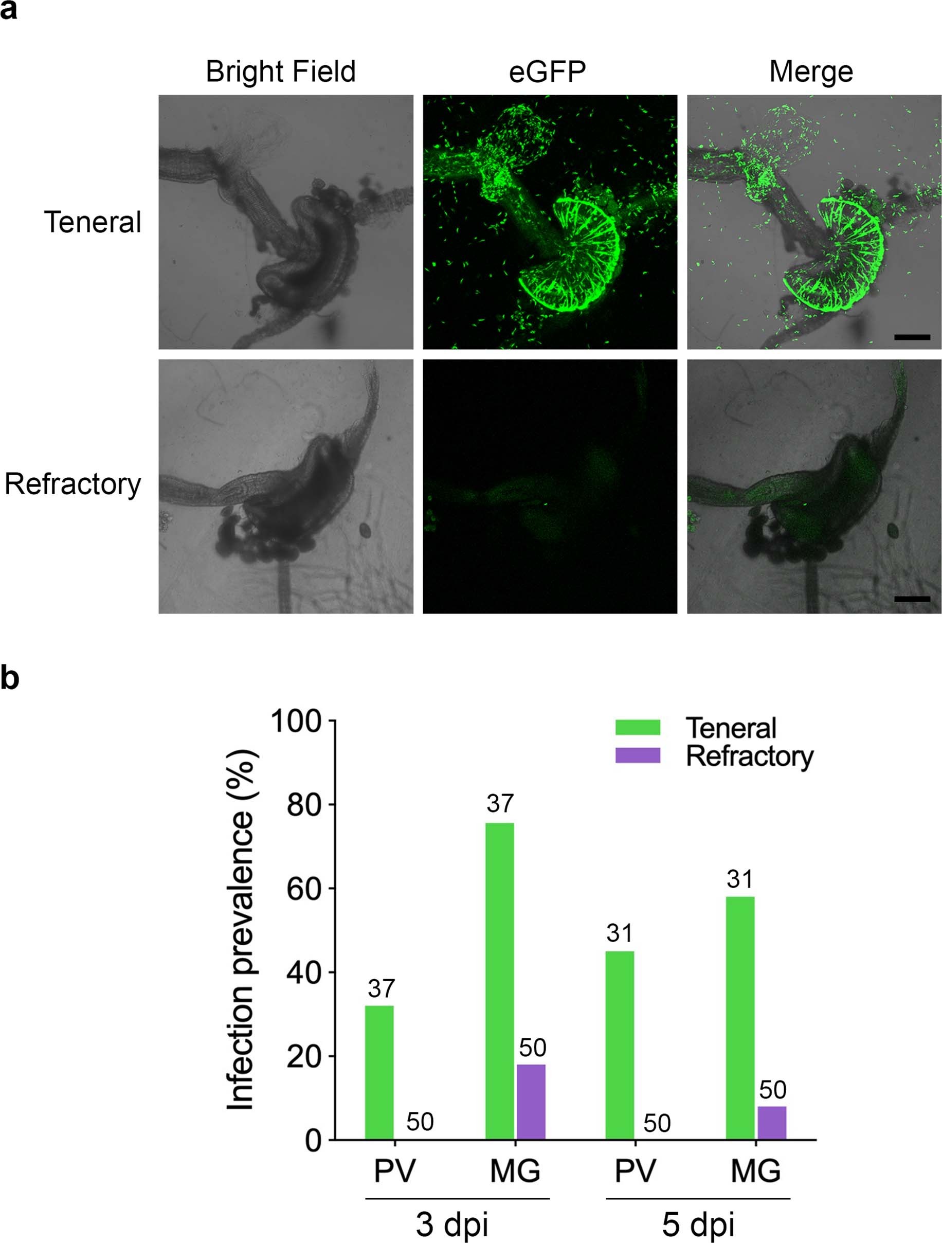 Extended Data Fig. 8