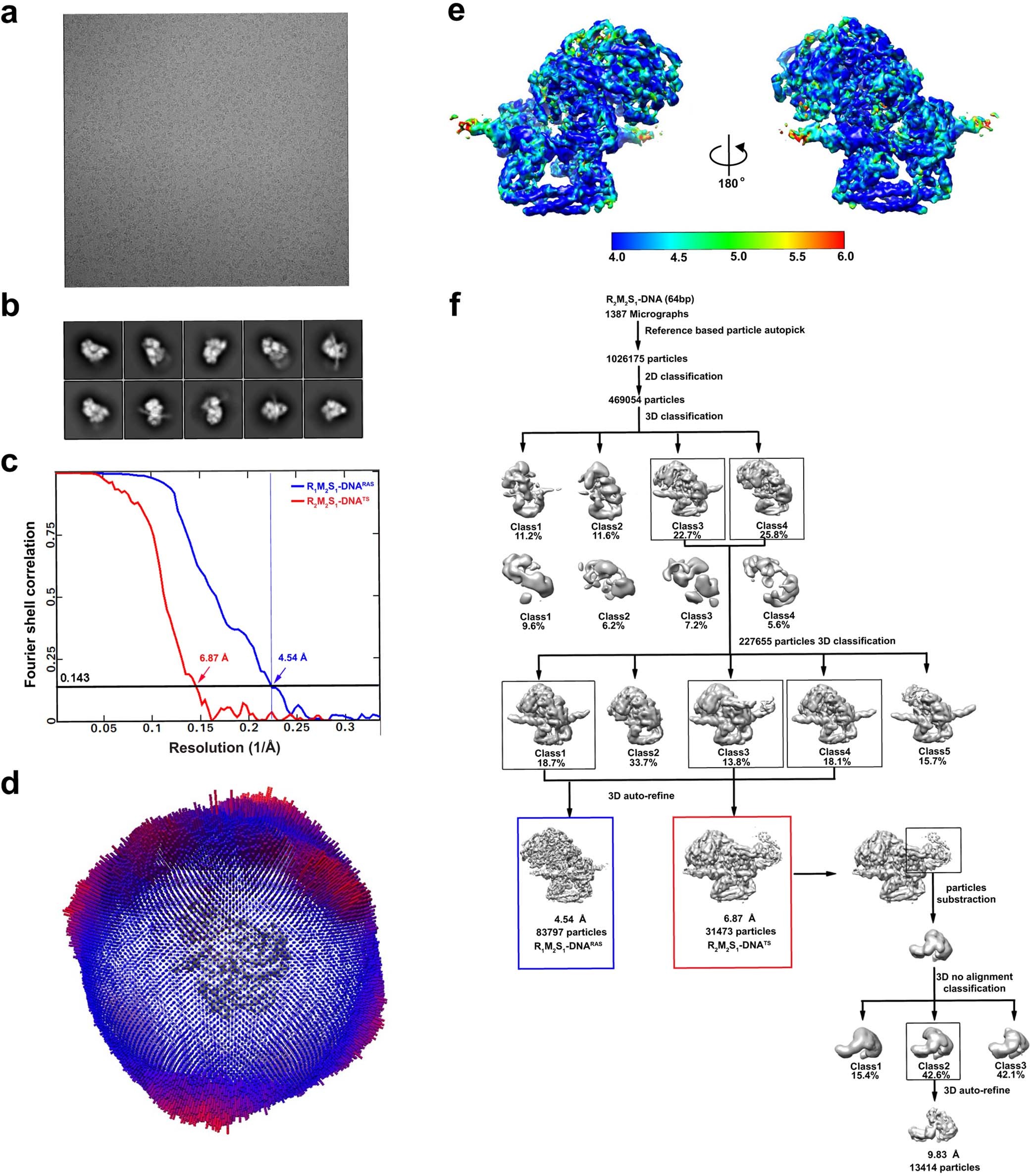 Extended Data Fig. 4