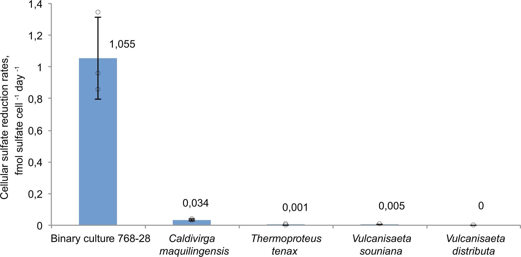 Extended Data Fig. 4: H35S−formation from 35SO4-2 the binary culture 768-28 and the cultures of hyperthermophilic Crenarchaeota strains earlier claimed to be capable of sulphate reduction, but without experimental evidence.