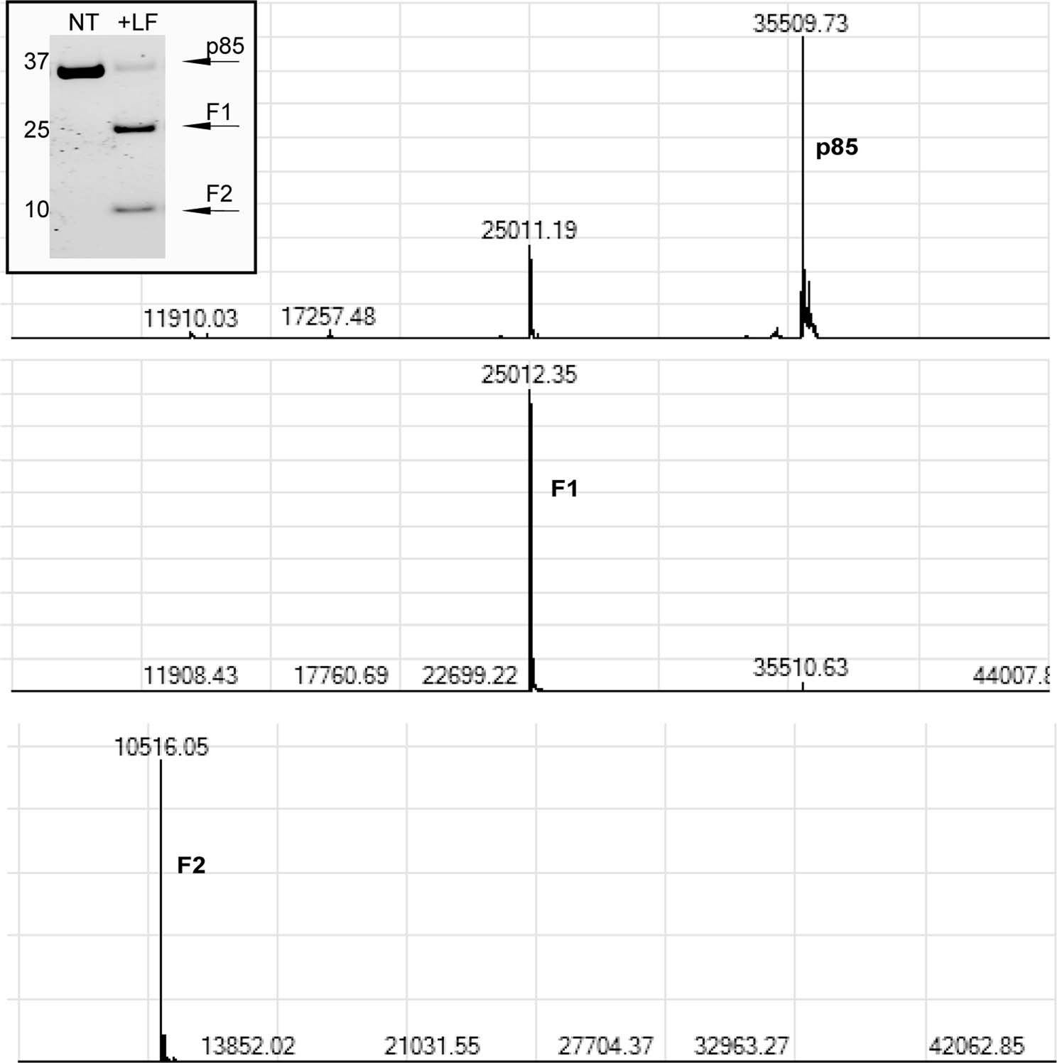 Extended Data Fig. 1