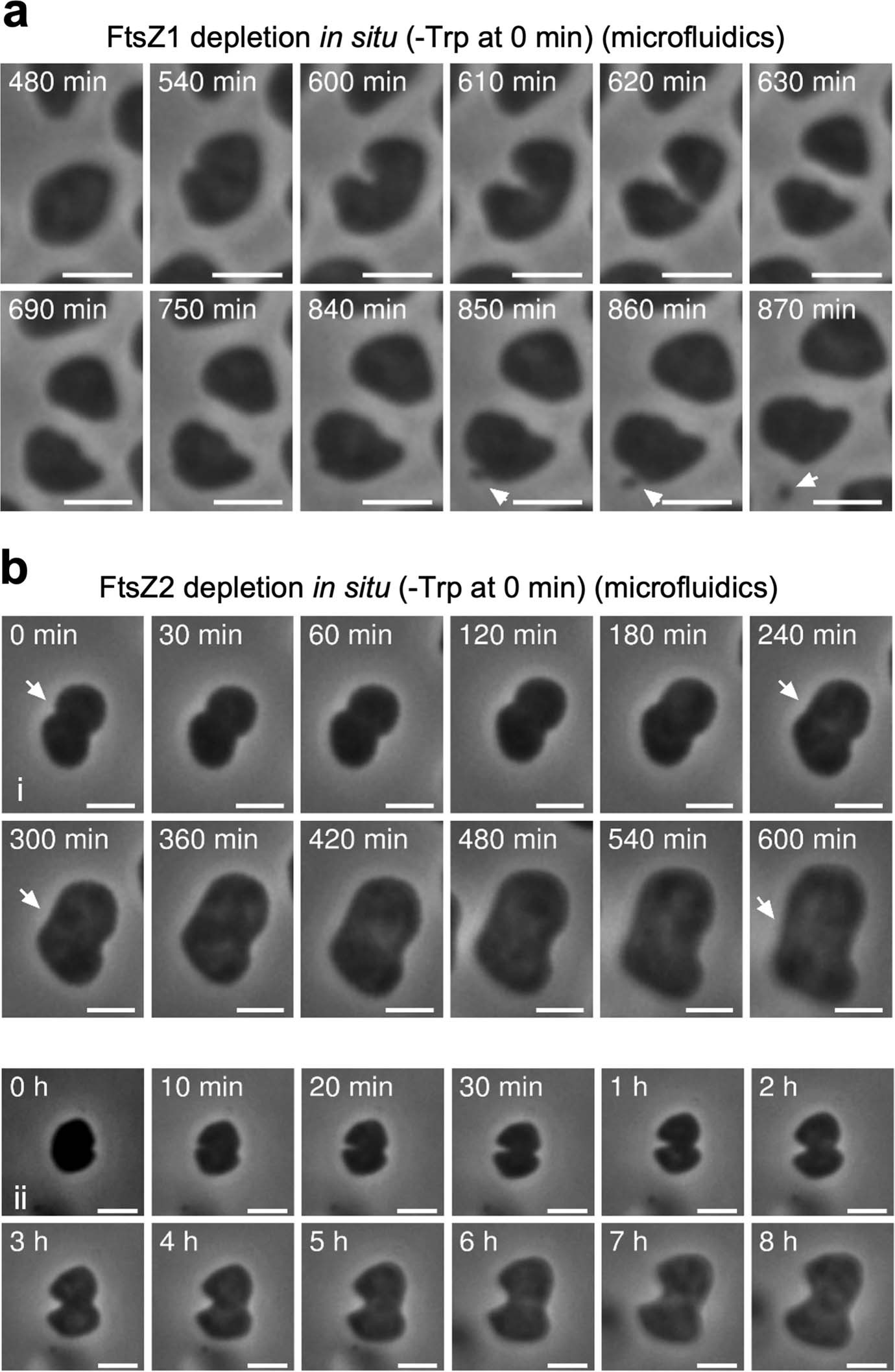 Extended Data Fig. 2