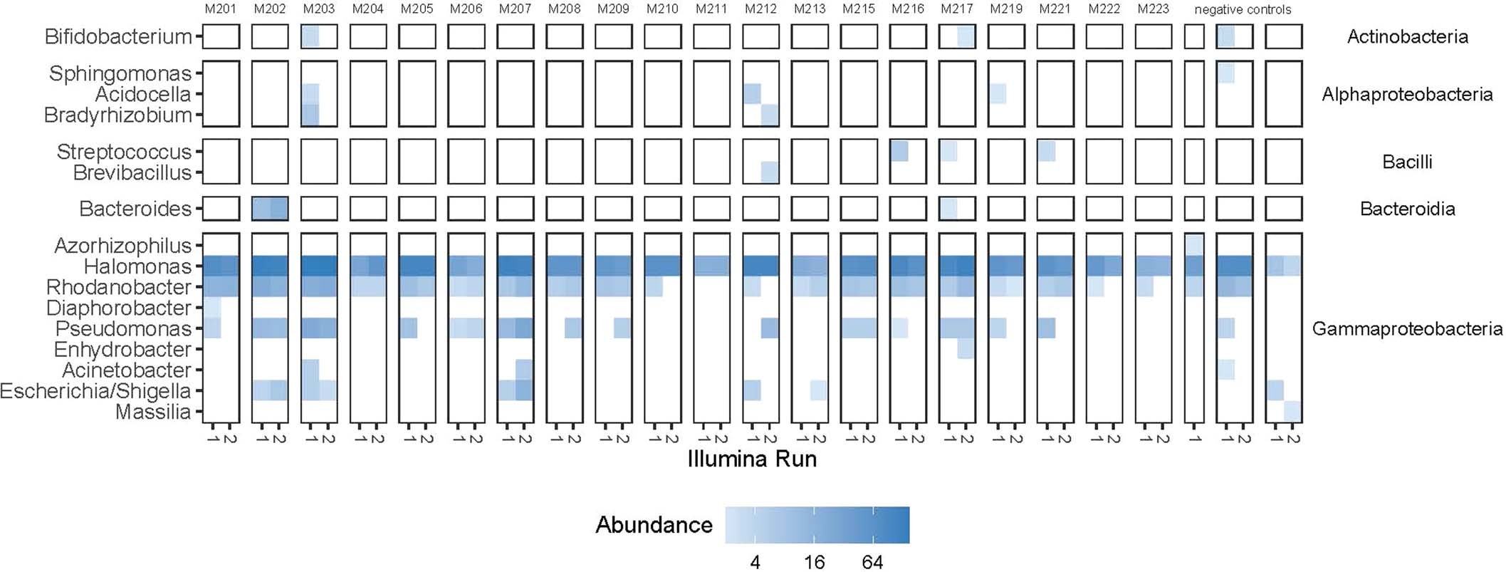 Extended Data Fig. 3: Detection of genera across technical replicates.