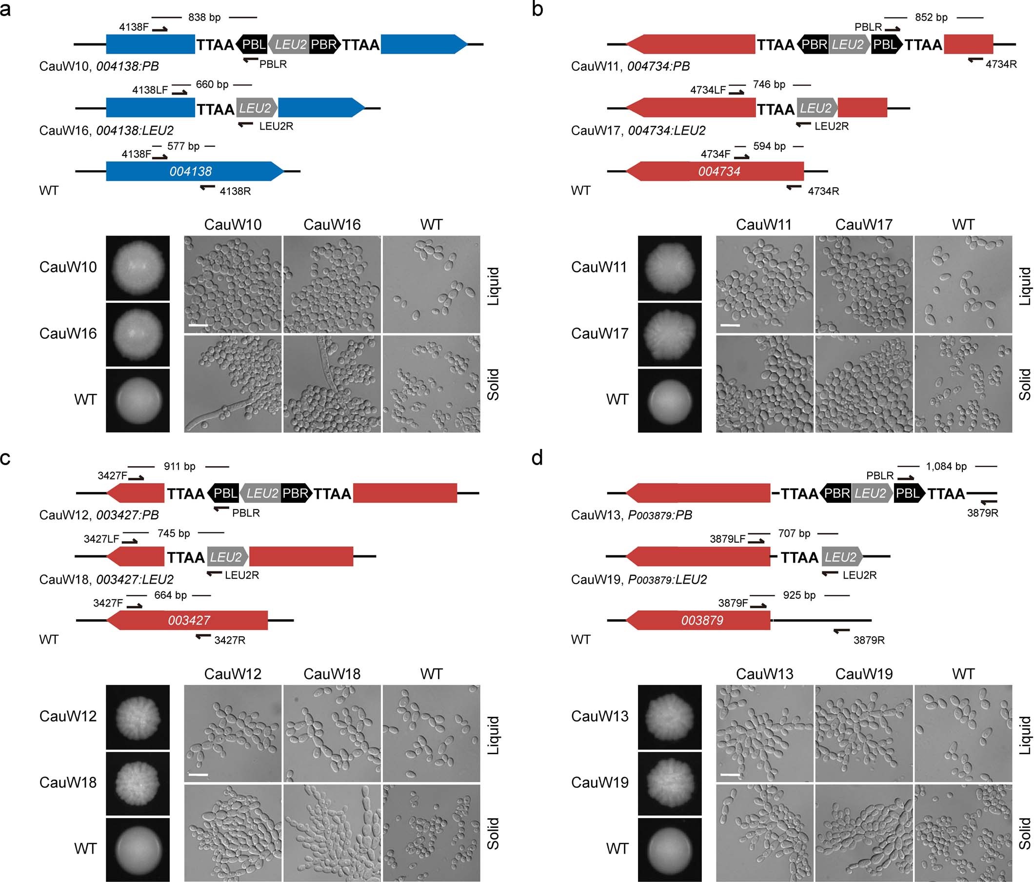 Extended Data Fig. 3