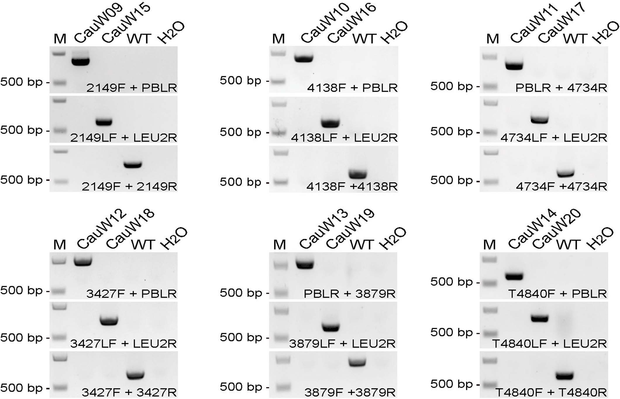Extended Data Fig. 4