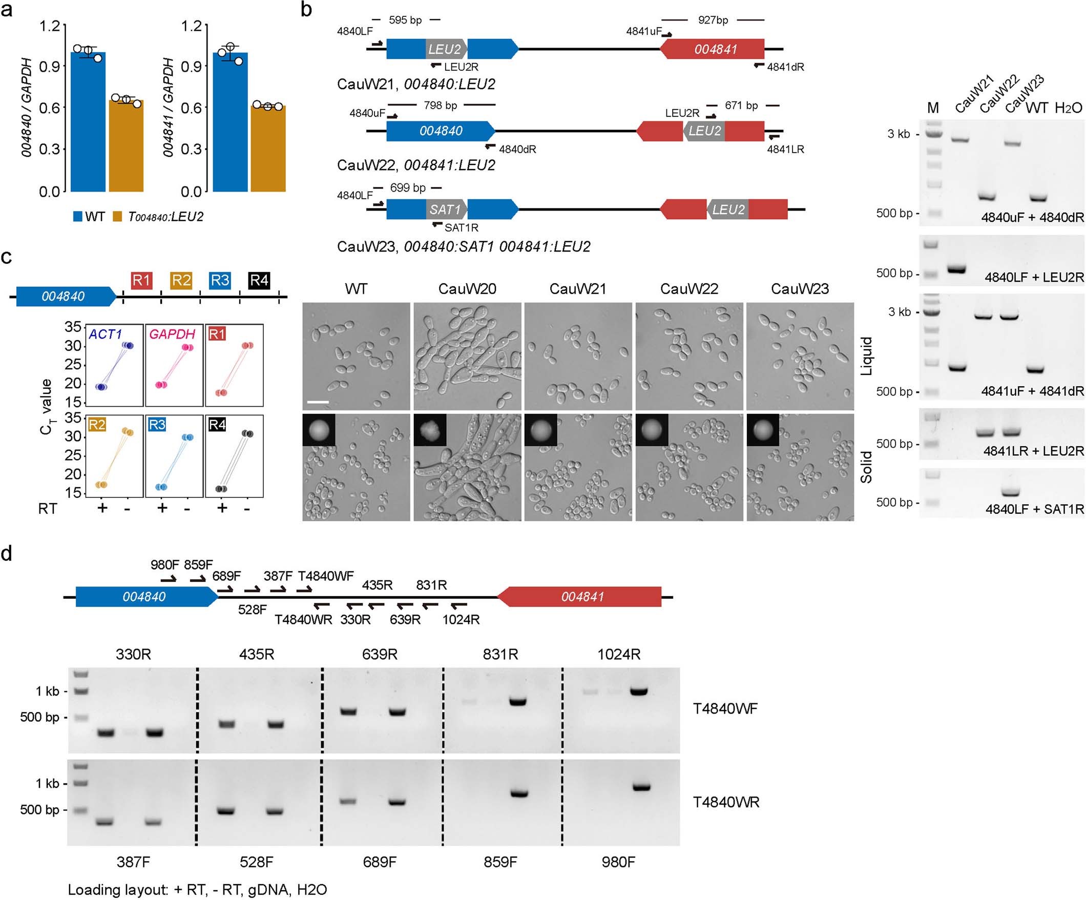 Extended Data Fig. 5