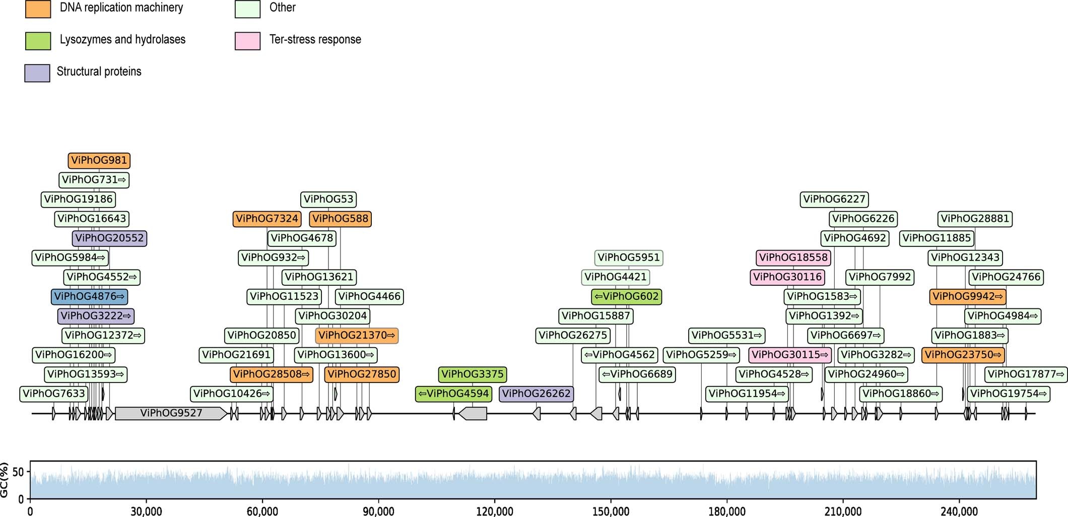 Extended Data Fig. 8: Characterization of the cluster 5 jumbo phage genome.