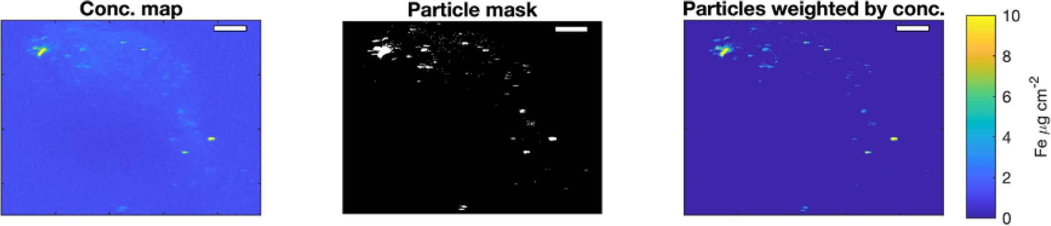 Extended Data Fig. 9: Synchrotron-based element maps used to determine mass of particulate iron associated with a puff-type colony.