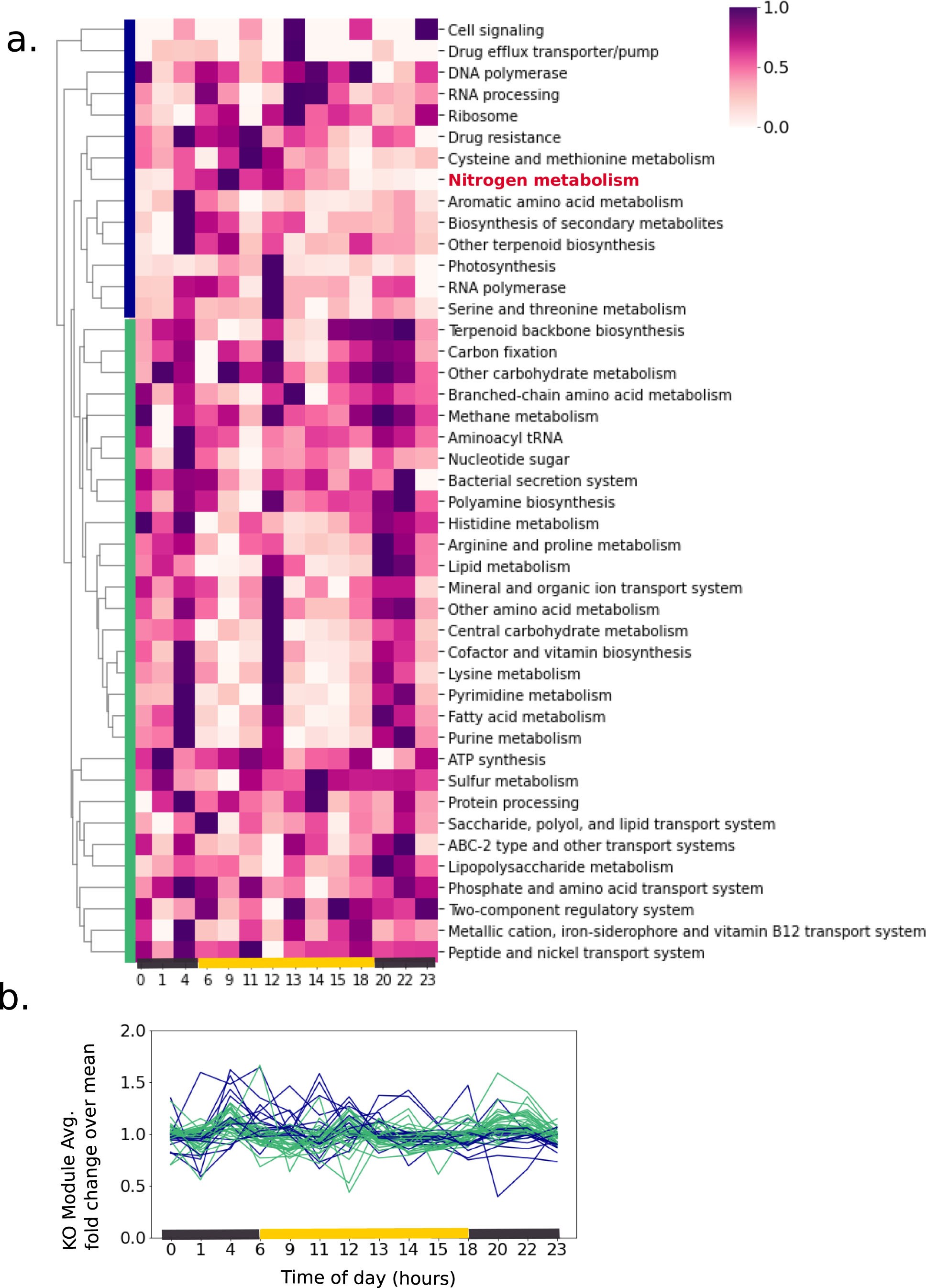 Extended Data Fig. 3: Proteome dynamics of separate replicate laboratory experiment over the diel cycle.