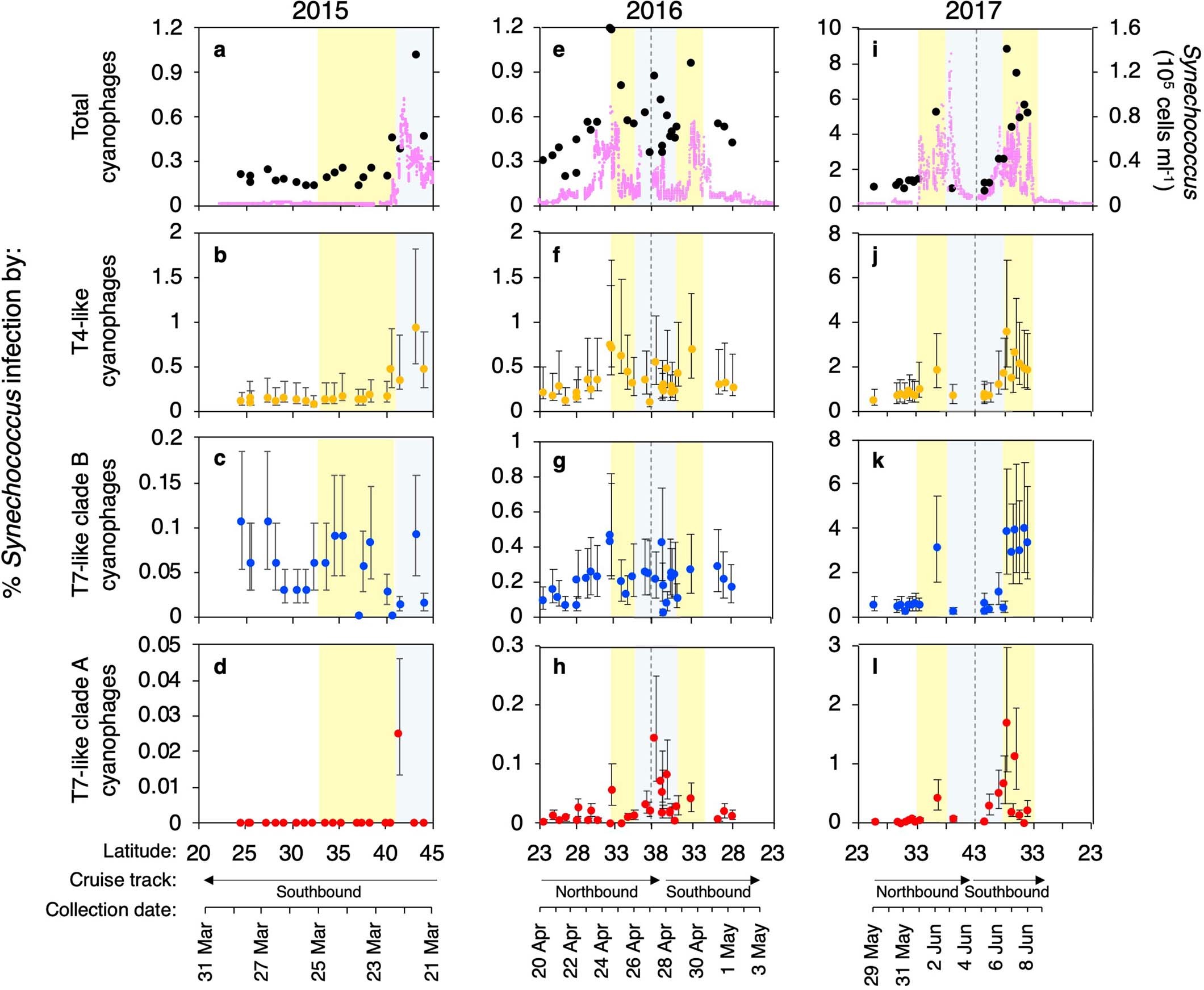 Extended Data Fig. 6: Recurrent patterns in the infection of Synechococcus by different cyanophage lineages.