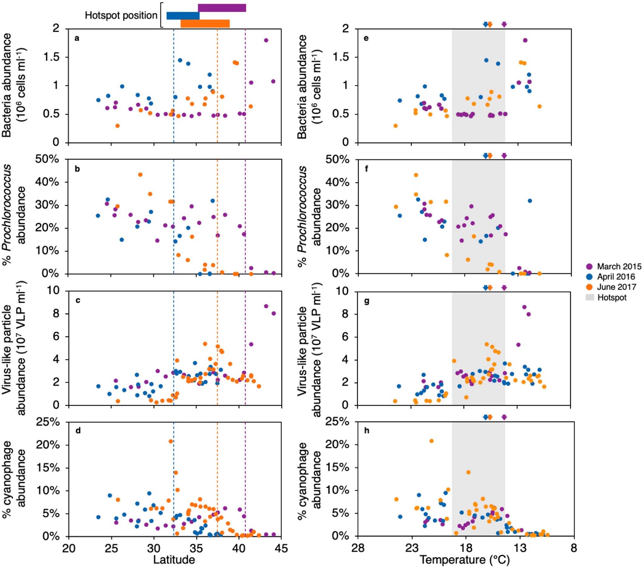 Extended Data Fig. 1: Bacteria and virus abundances across the transects.