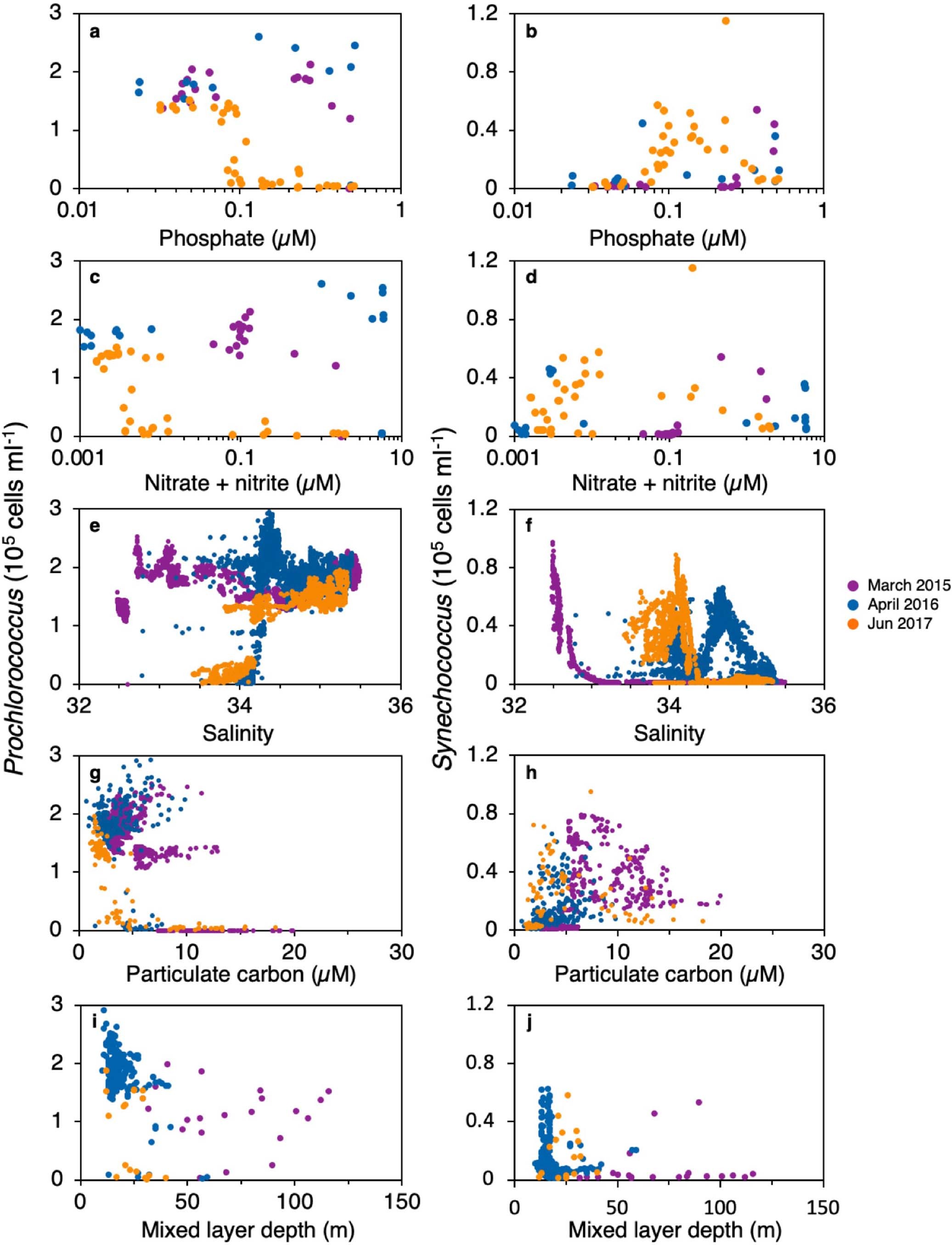 Extended Data Fig. 3: Comparison of picocyanobacterial abundances to abiotic factors.
