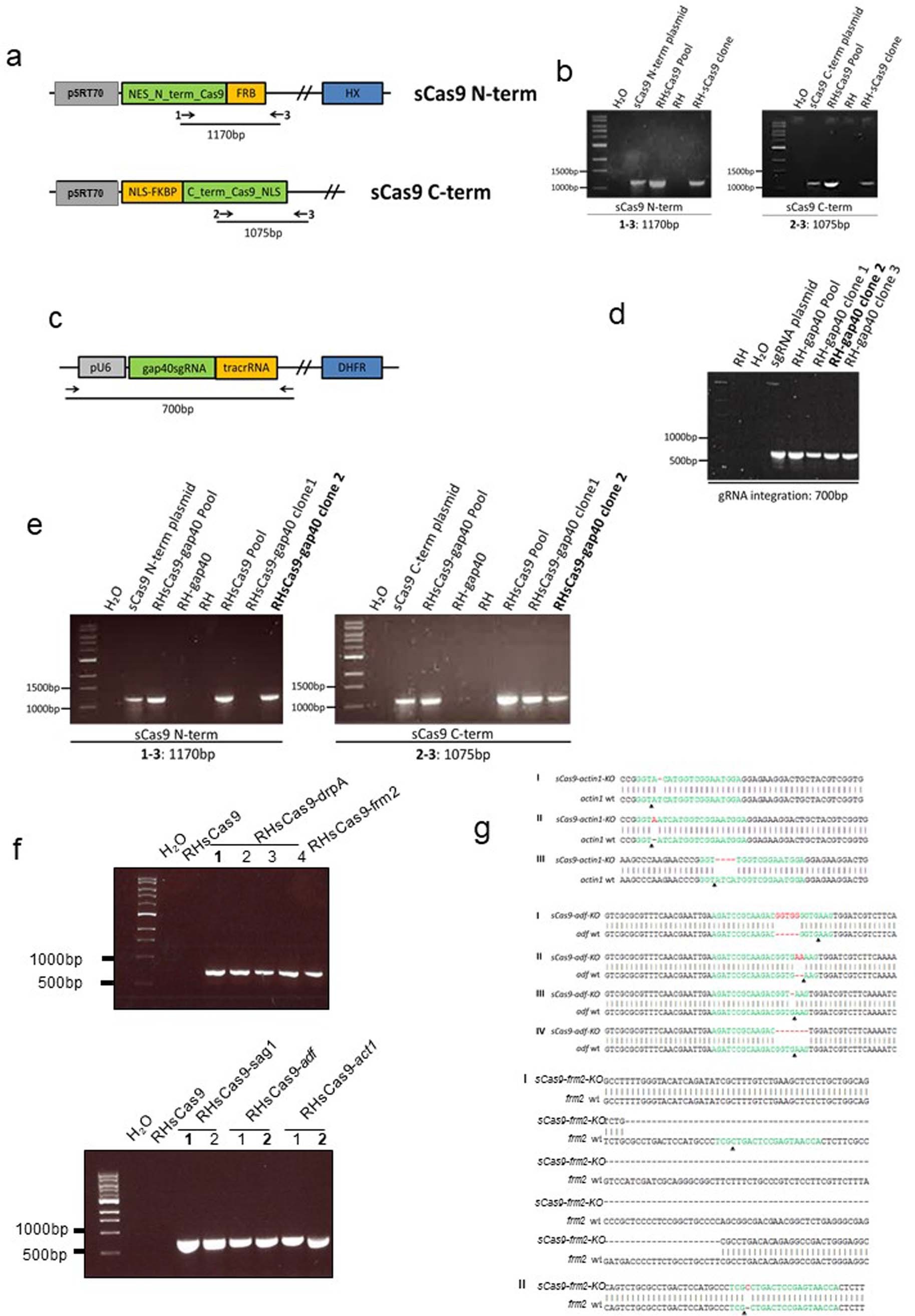 Extended Data Fig. 1