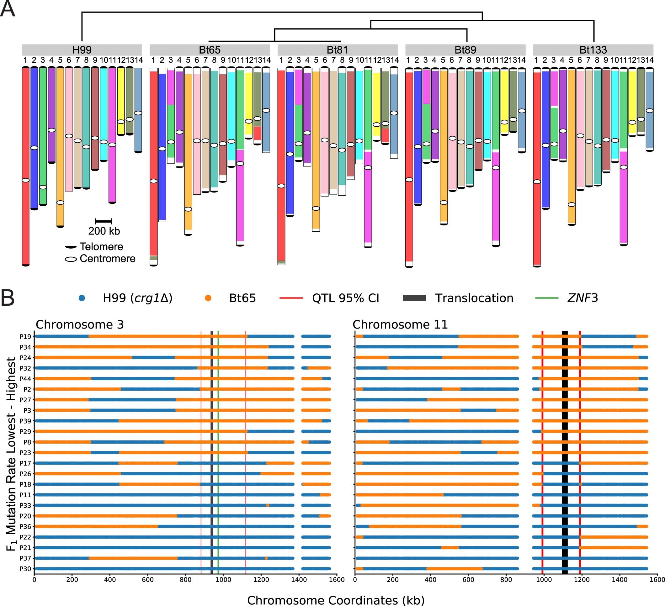 Extended Data Fig. 5