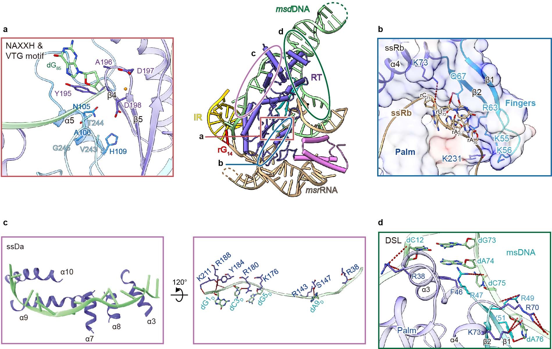Extended Data Fig. 7