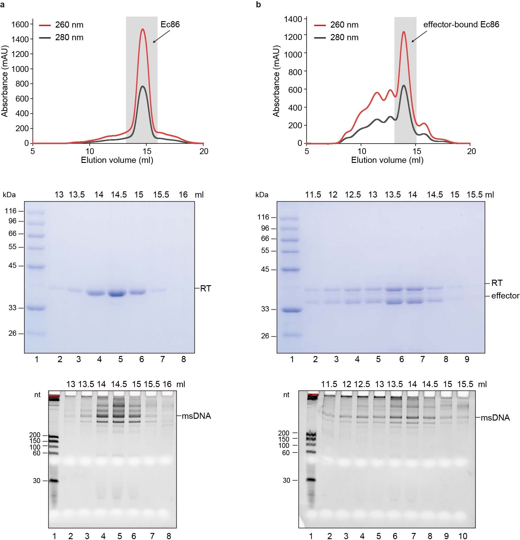Extended Data Fig. 1