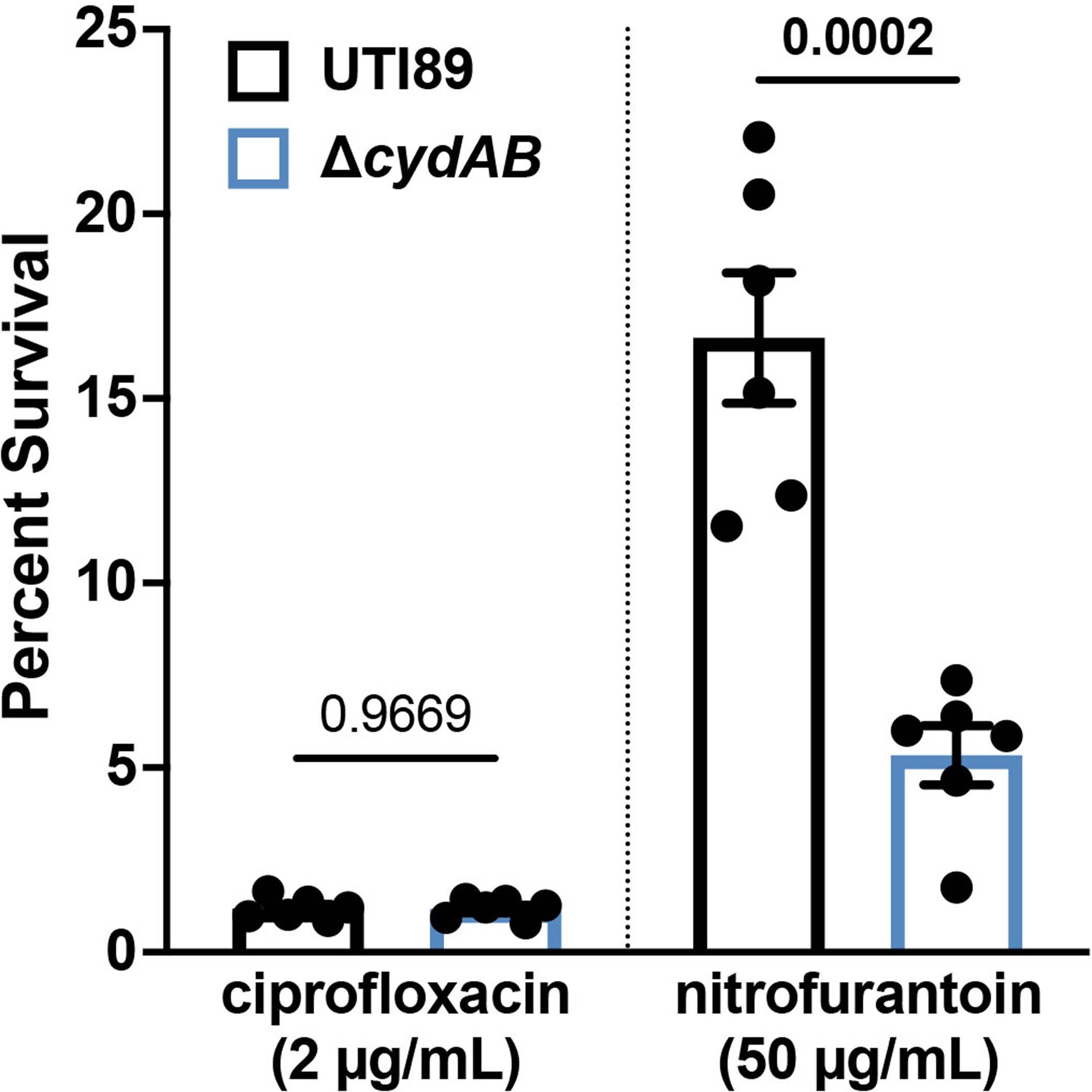 Extended Data Fig. 2: Loss of cytochrome bd increases intracellular bacterial sensitivity to nitrofurantoin.