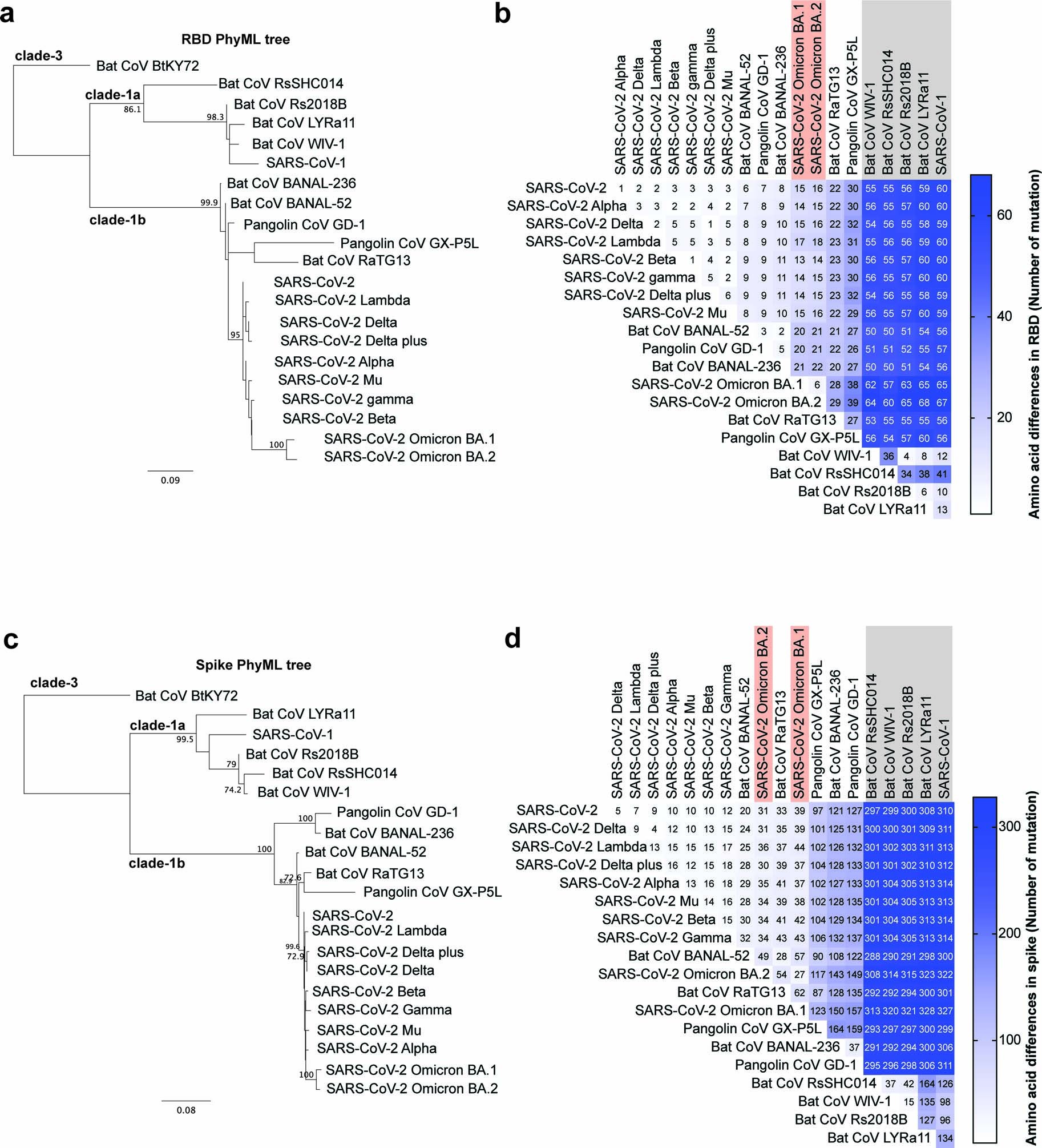 Extended Data Fig. 1: Amino acid sequence differences between multiple sarbecoviruses.