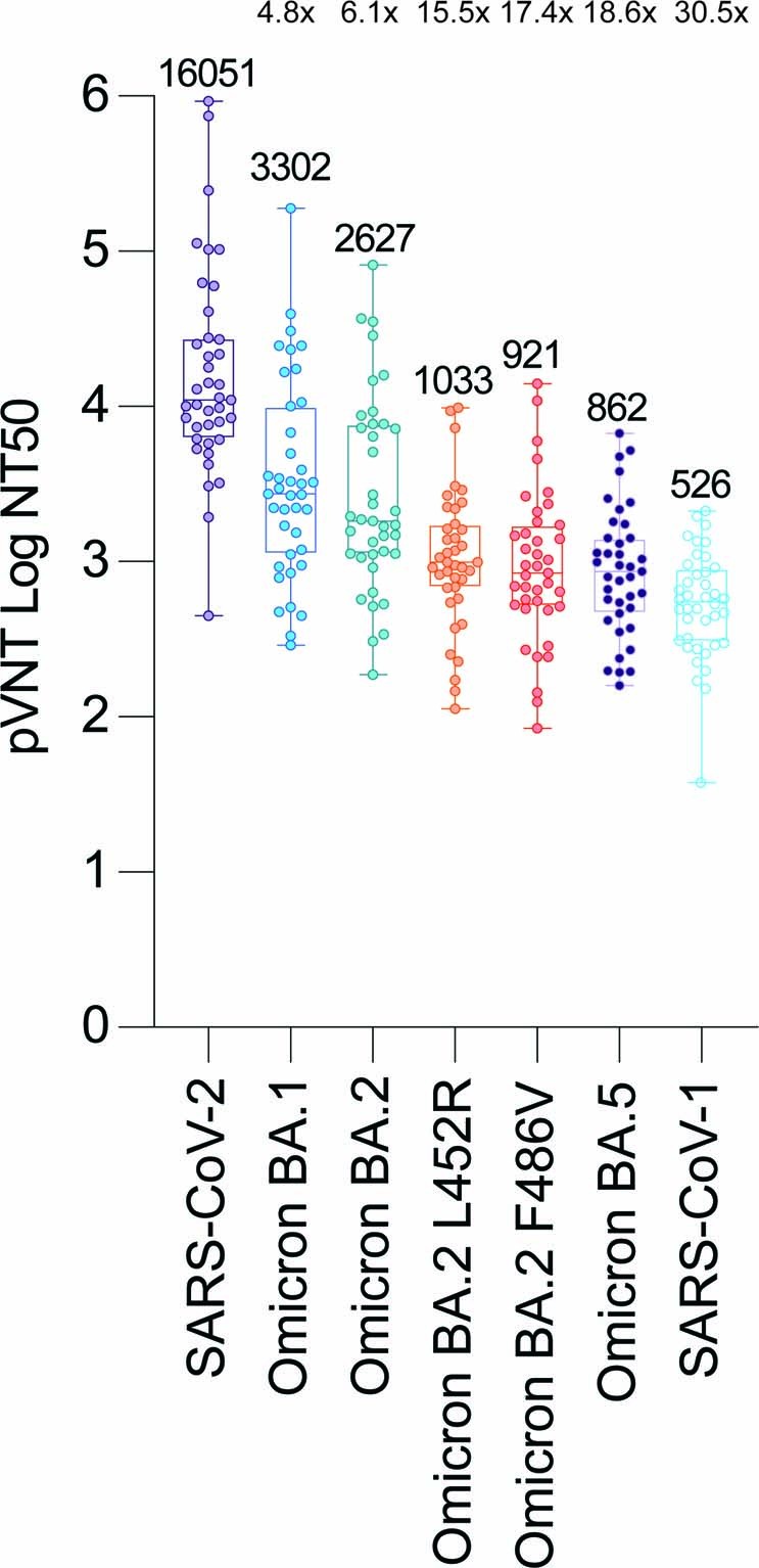 Extended Data Fig. 5: Neutralization escape of SARS-CoV-2 Omicron sublineages.