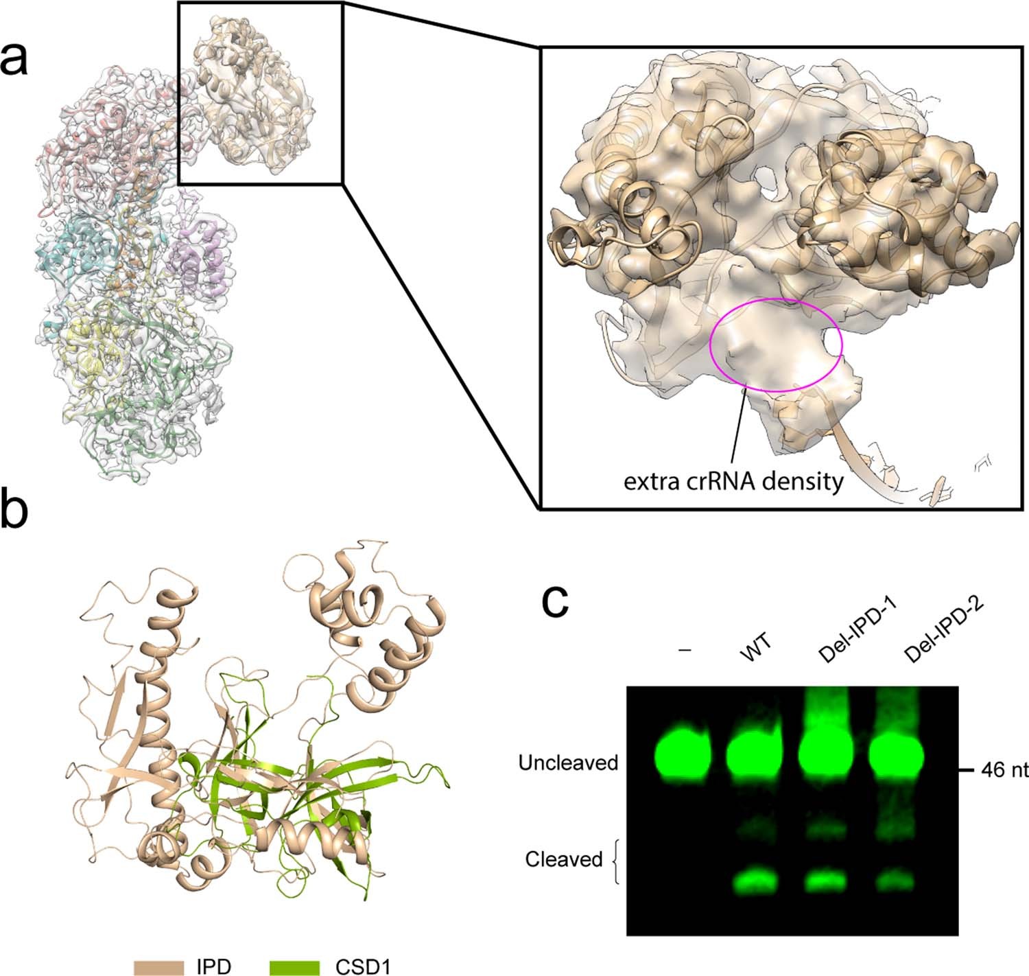Extended Data Fig. 6