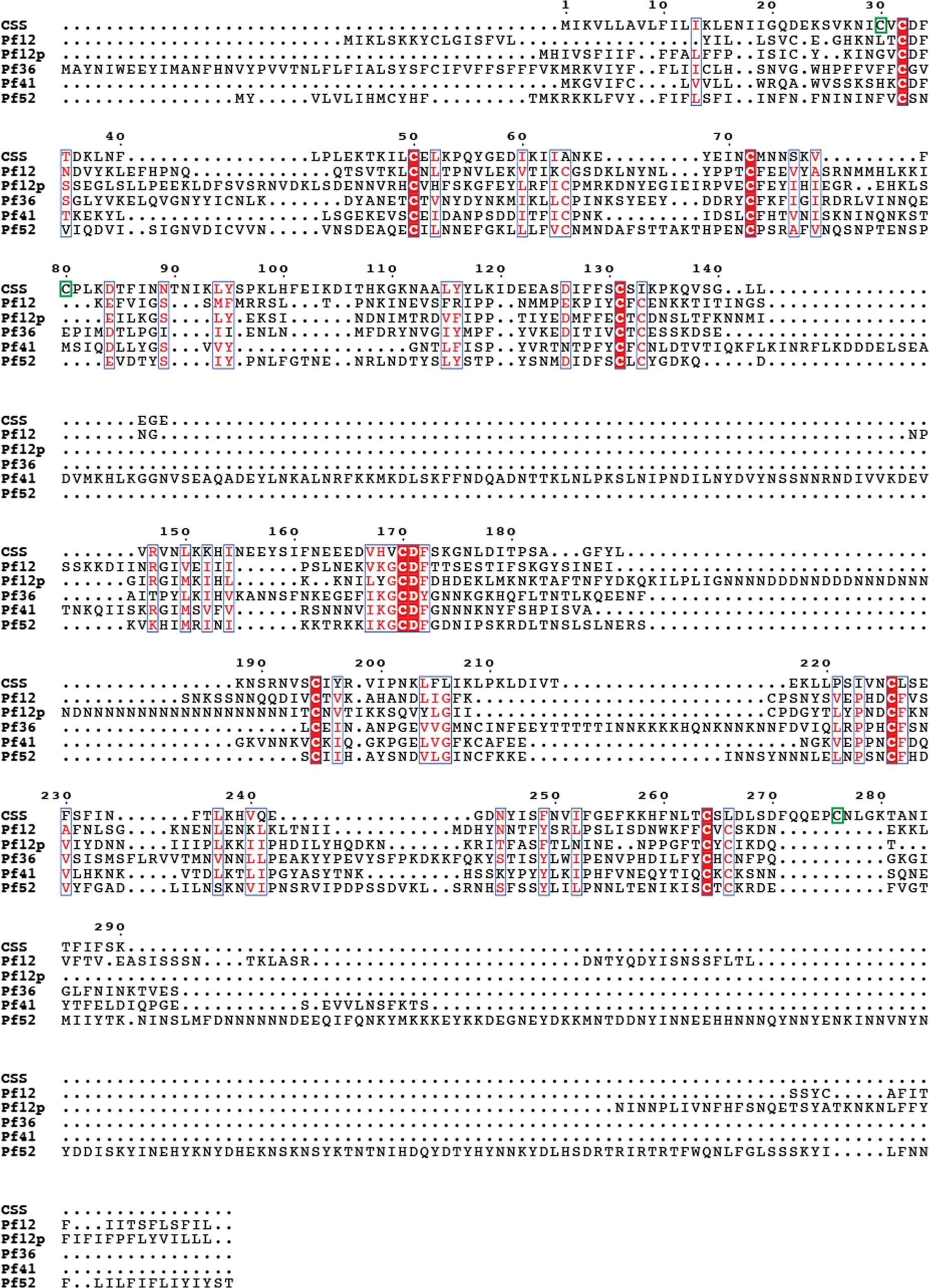 Extended Data Fig. 9: Amino acid sequence comparisons of the 6-cys family members including PfCSS, Pf12, Pf12p, Pf36, Pf41 and Pf52.