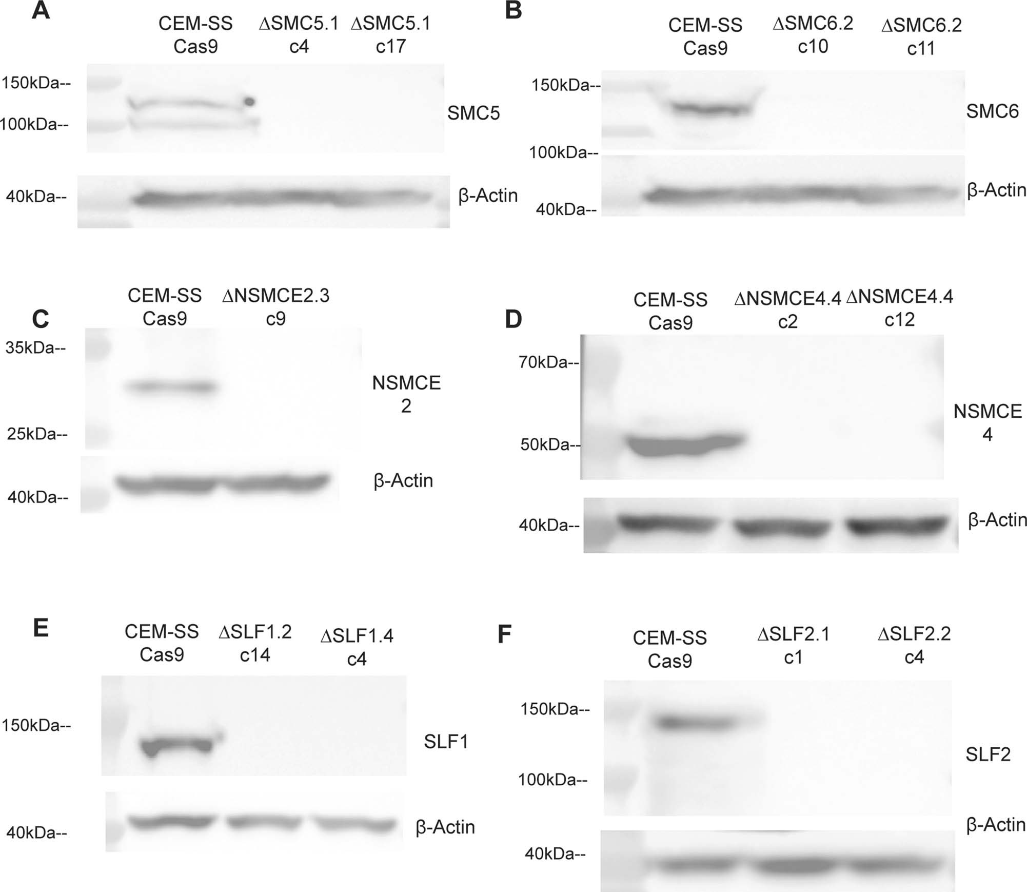 Extended Data Fig. 2