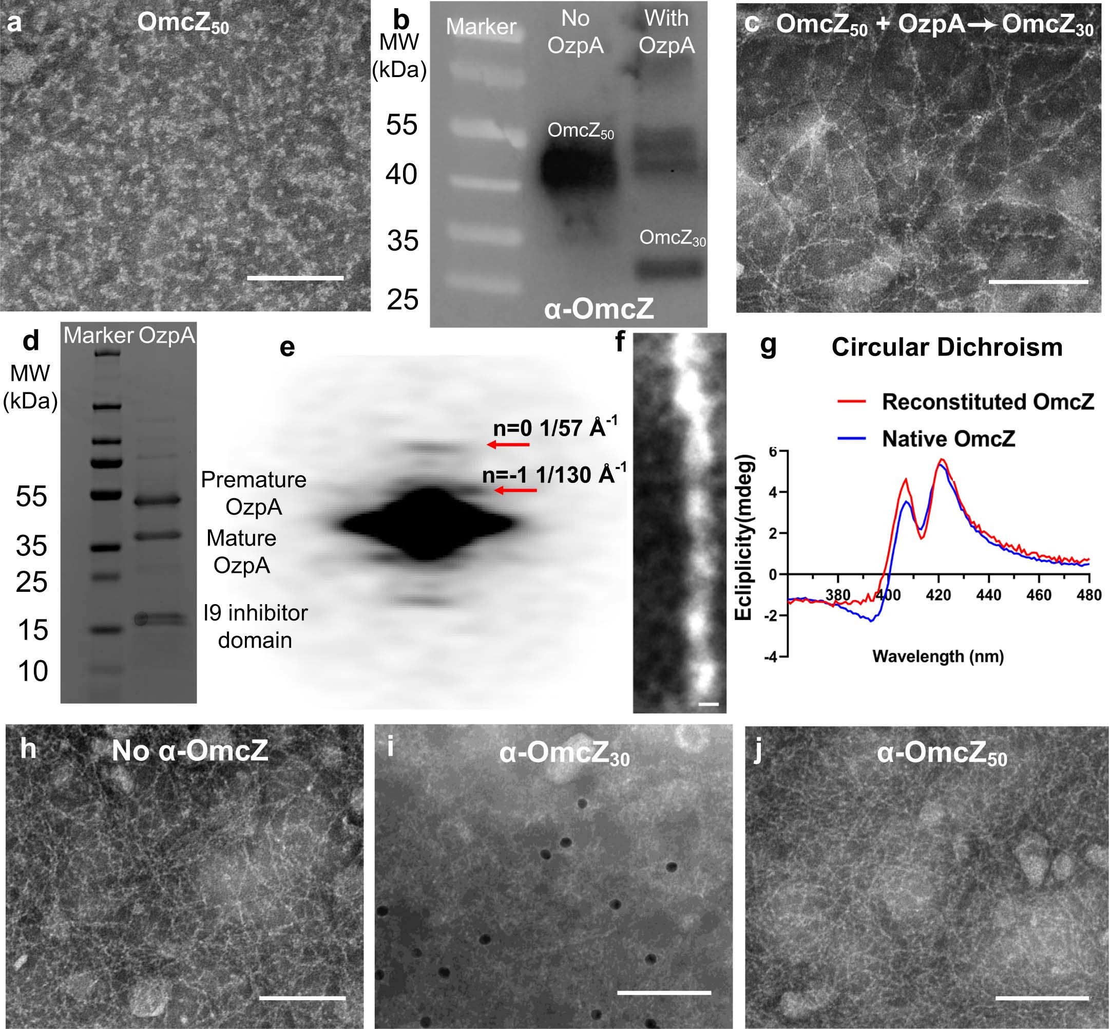 Extended Data Fig. 6