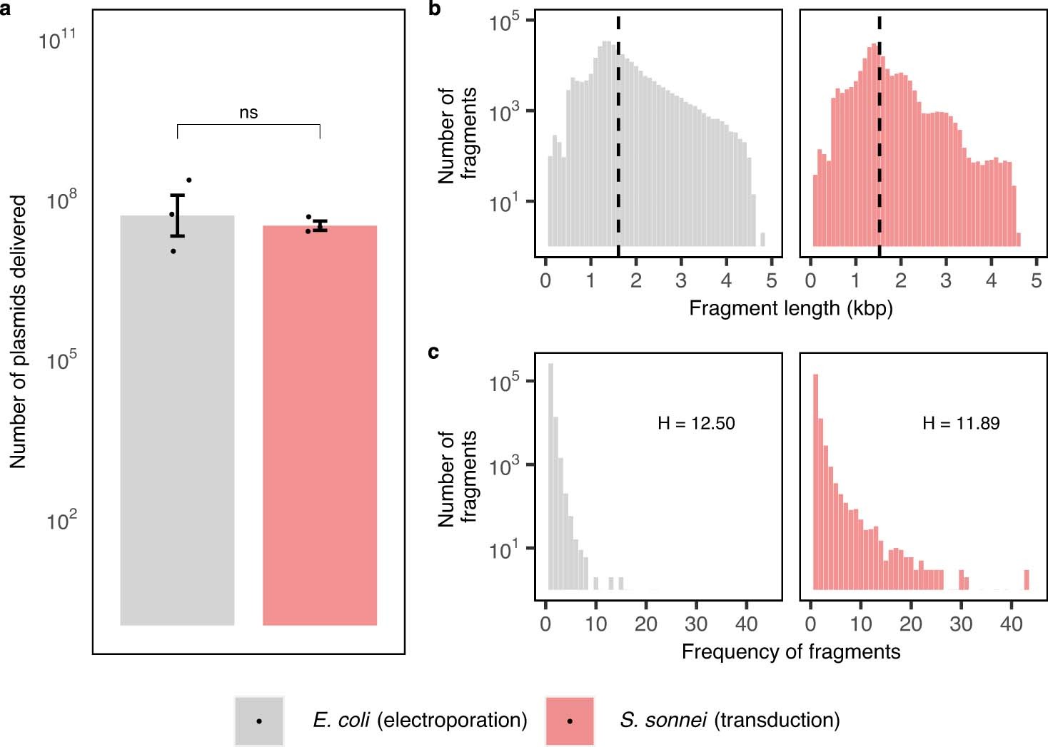 Extended Data Fig. 4: Functional metagenomic plasmid library delivery by gp17V544G displaying T7 bacteriophage particles into Shigella sonnei HNCMB 25021.