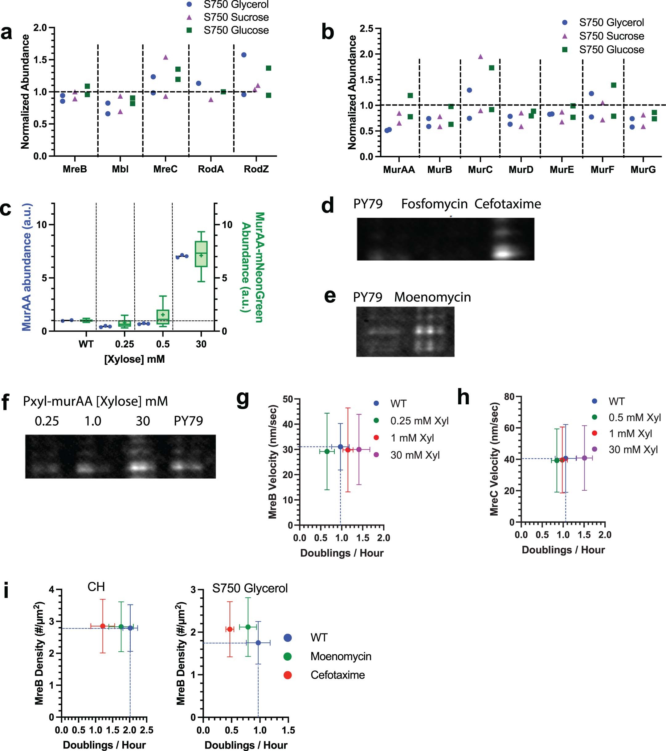 Extended Data Fig. 2