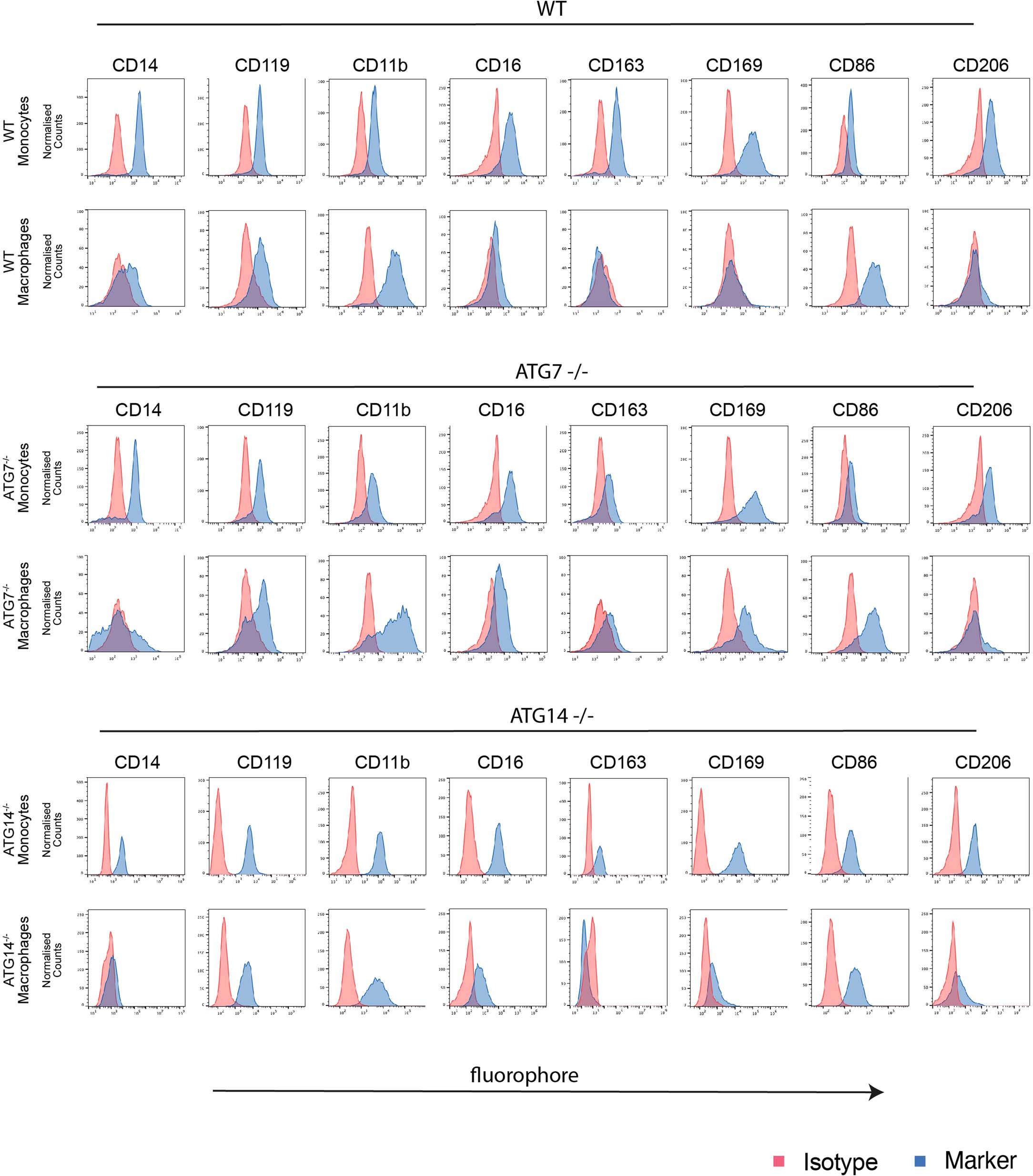 Extended Data Fig. 2