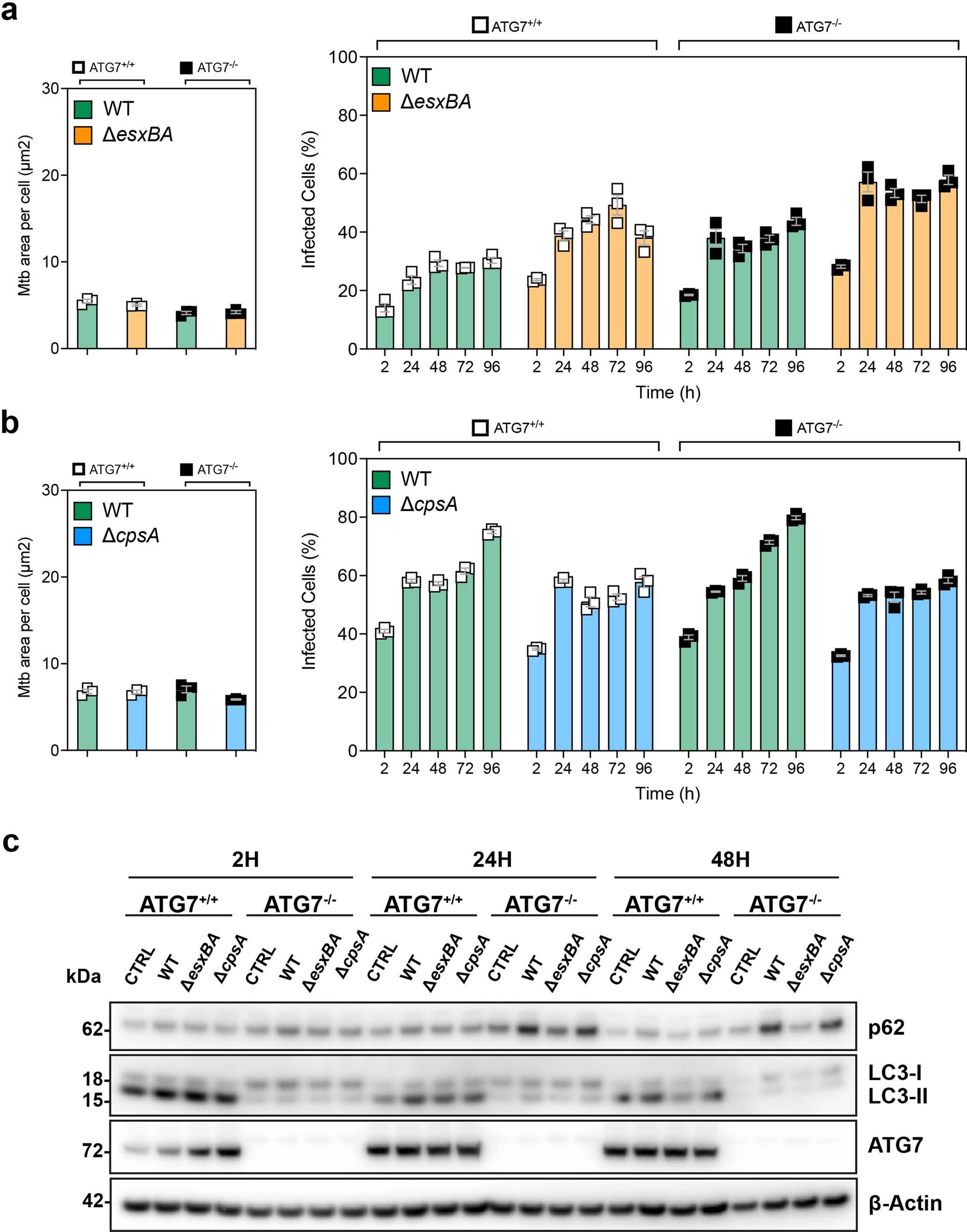 Extended Data Fig. 3