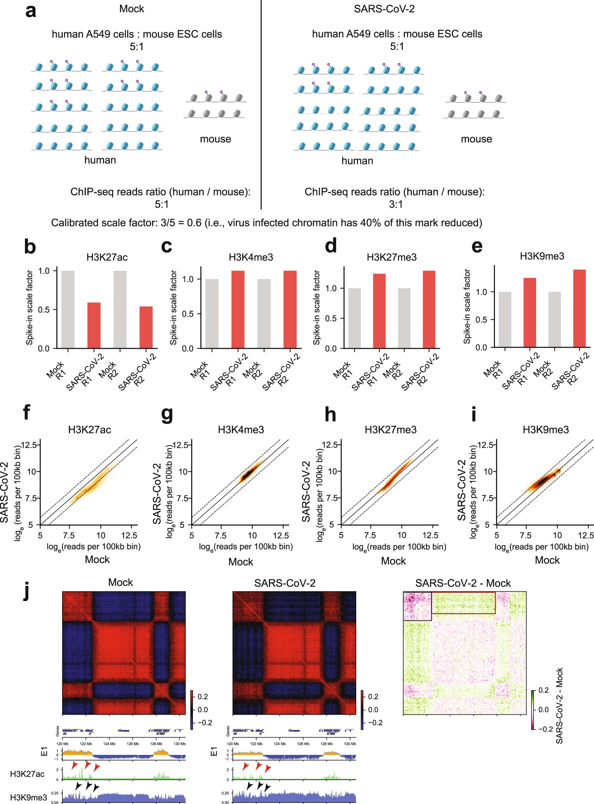 Extended Data Fig. 6
