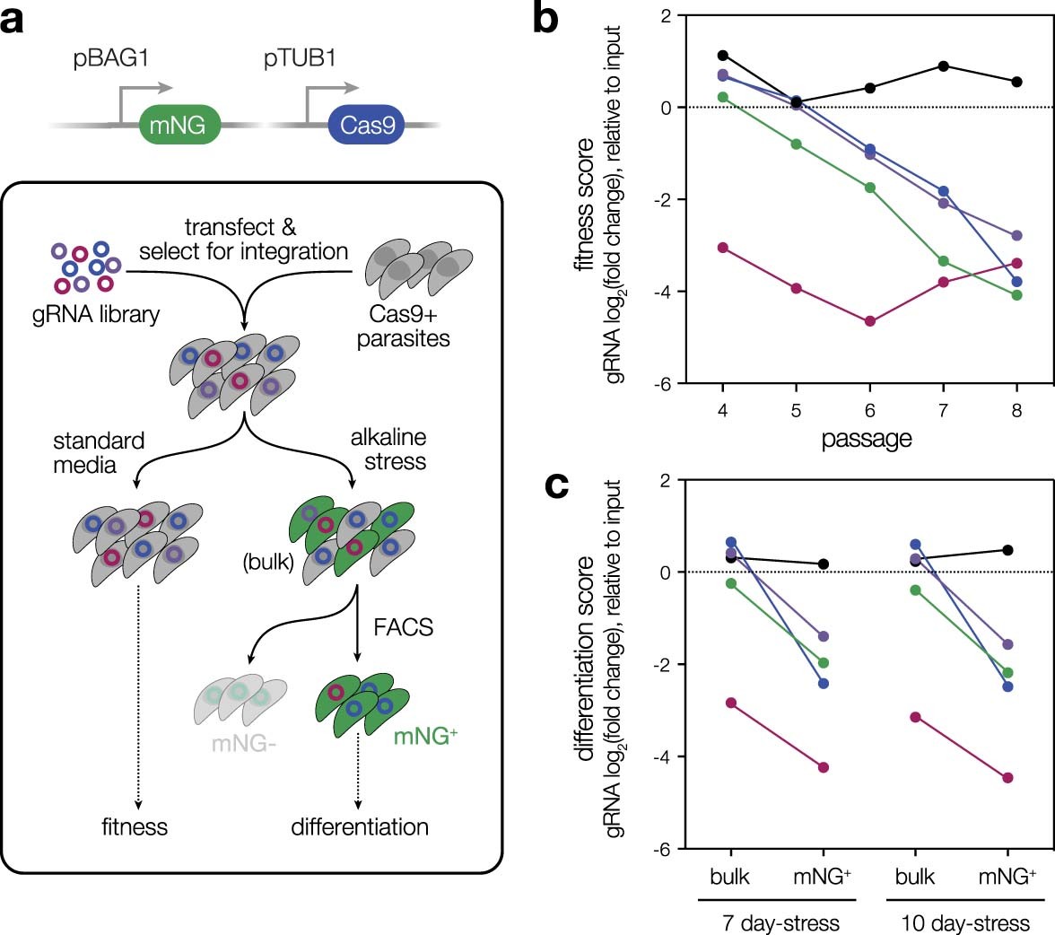 Extended Data Fig. 4