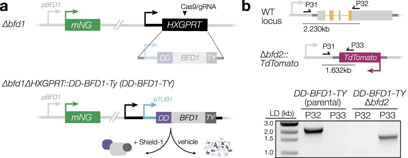 Extended Data Fig. 5