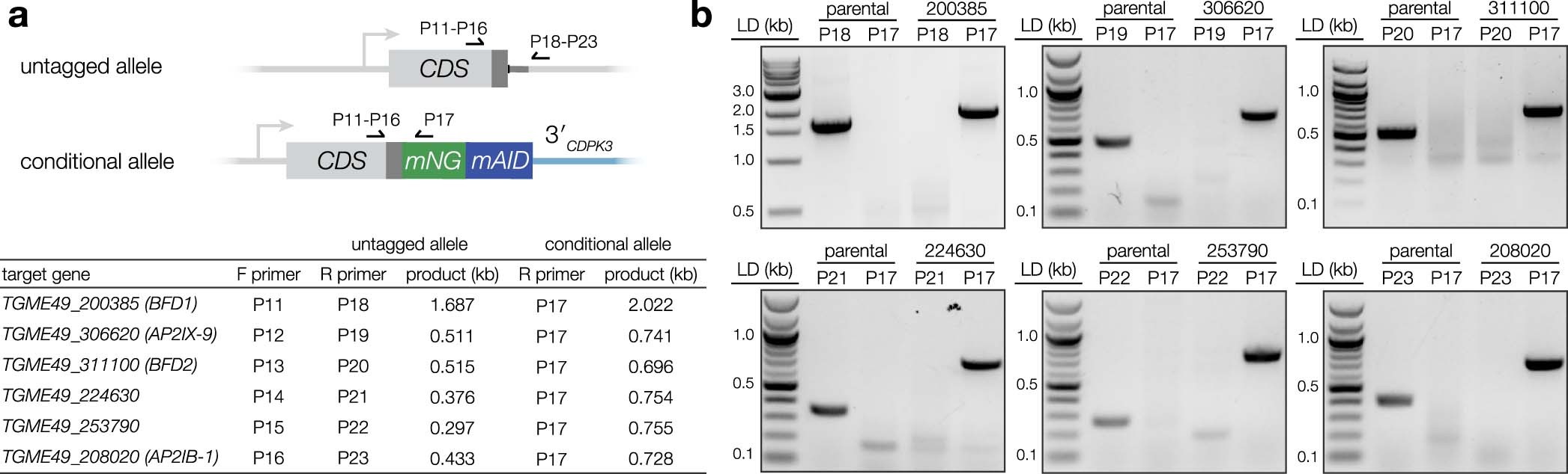Extended Data Fig. 1