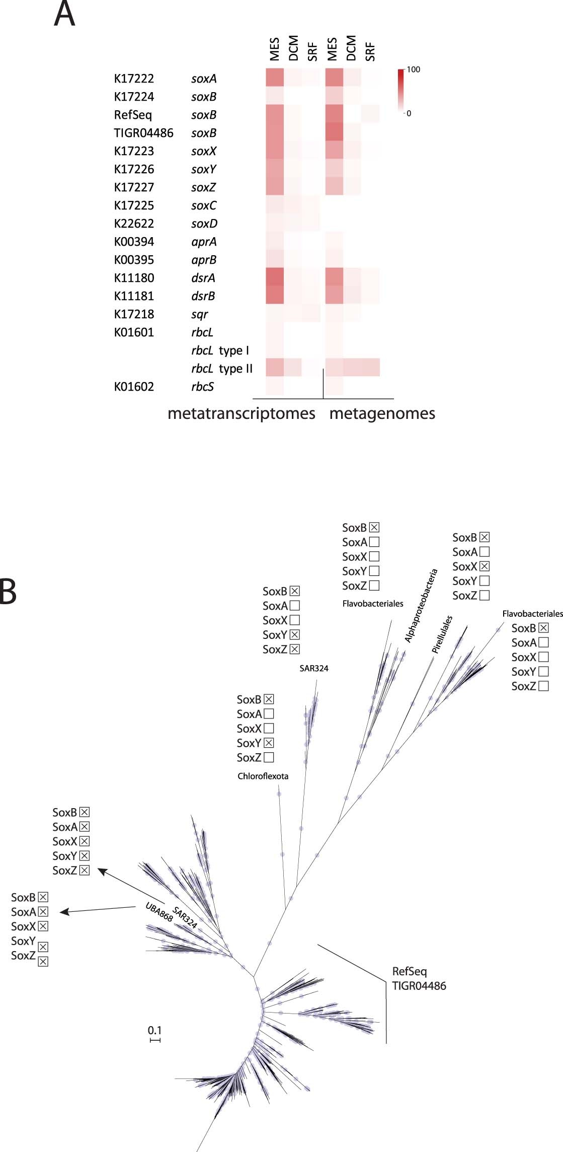 Extended Data Fig. 4