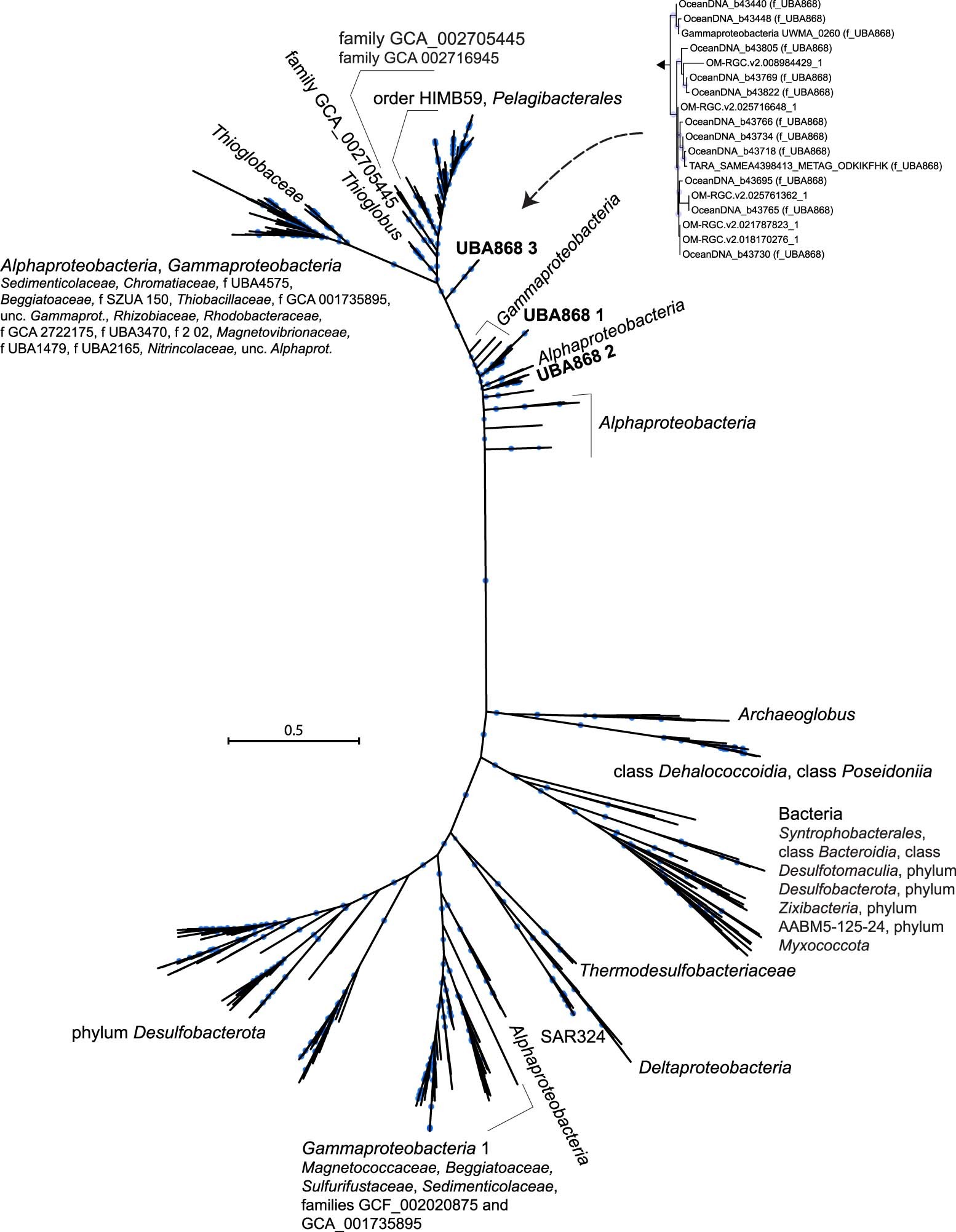 Extended Data Fig. 7