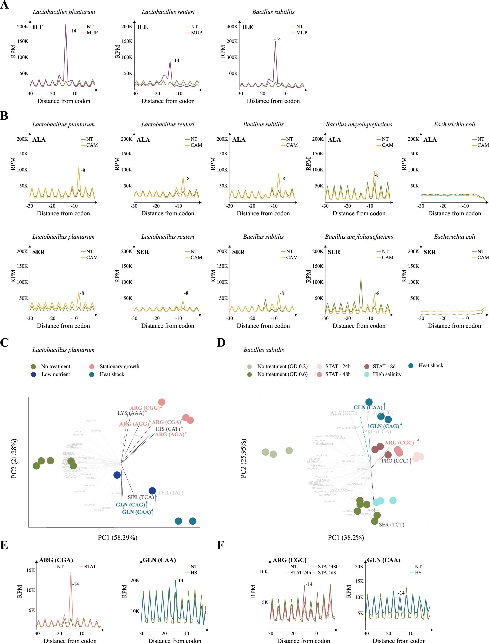 Extended Data Fig. 4: Species- and codon-specific ribosome pauses in response to stress or antibiotic treatment.