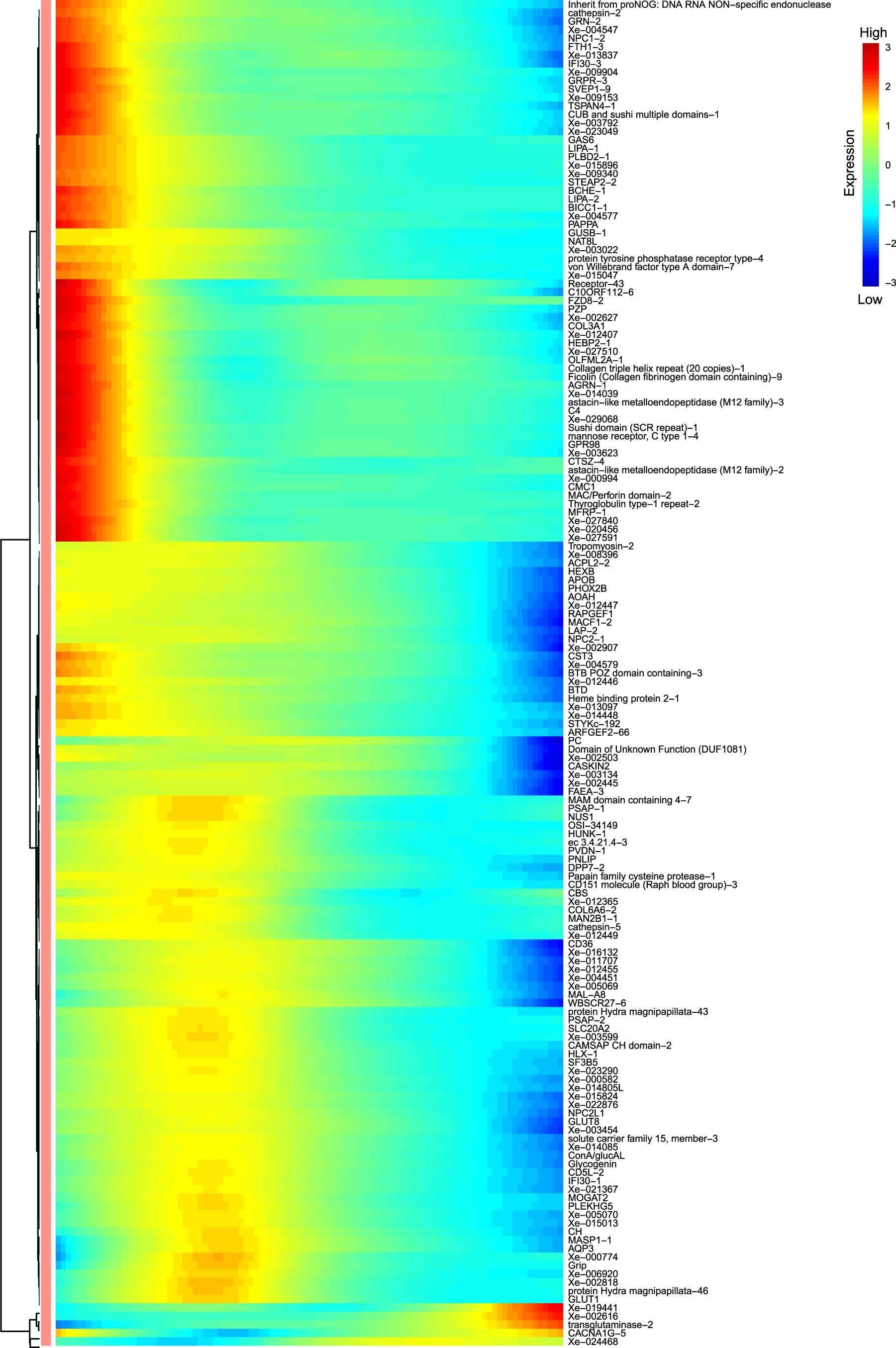 Extended Data Fig. 5: Heat map of gene expression along the host endosymbiotic cell developmental progression as measured by scRNA-seq in this study.