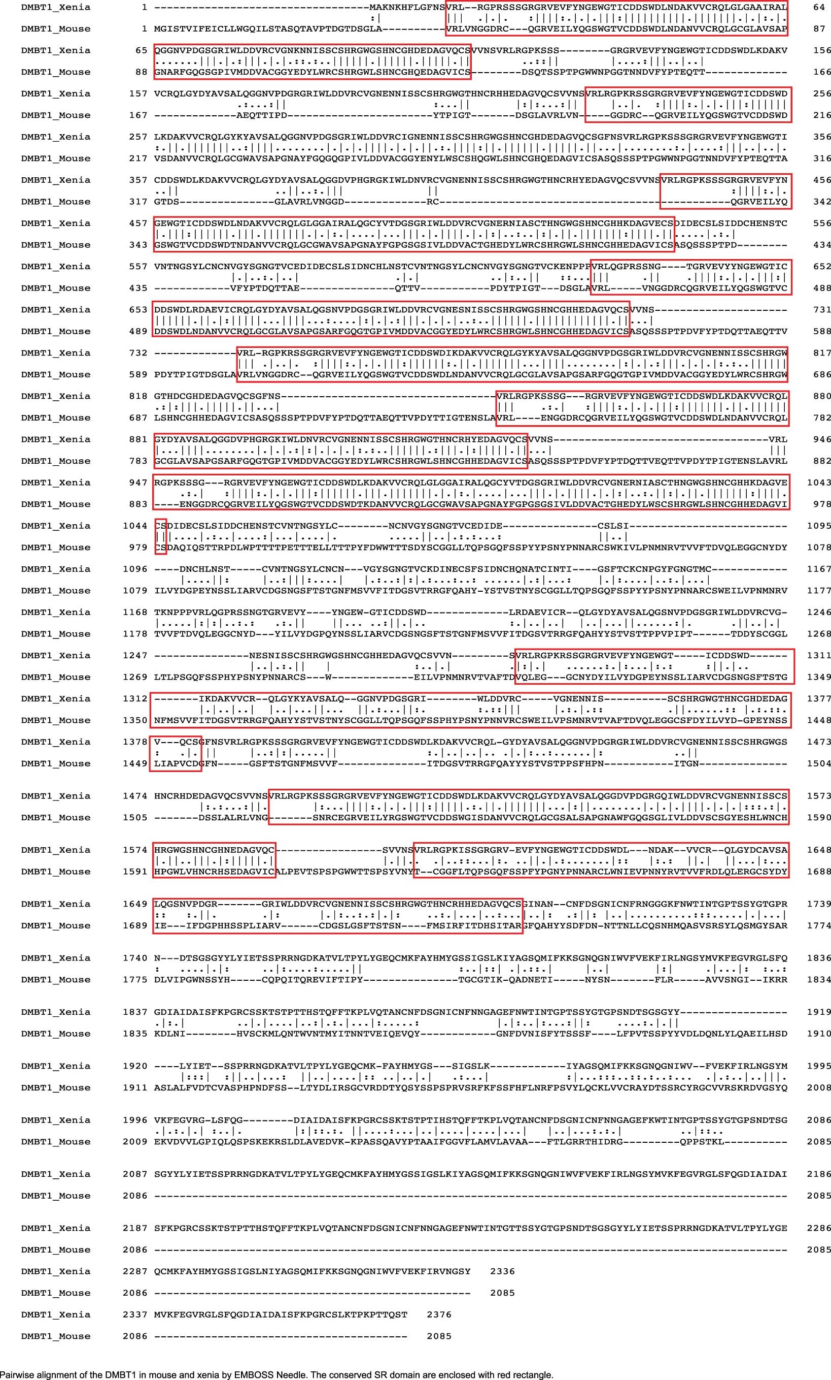 Extended Data Fig. 10: The pairwise alignment of DMBT1 from Xenia and mouse.