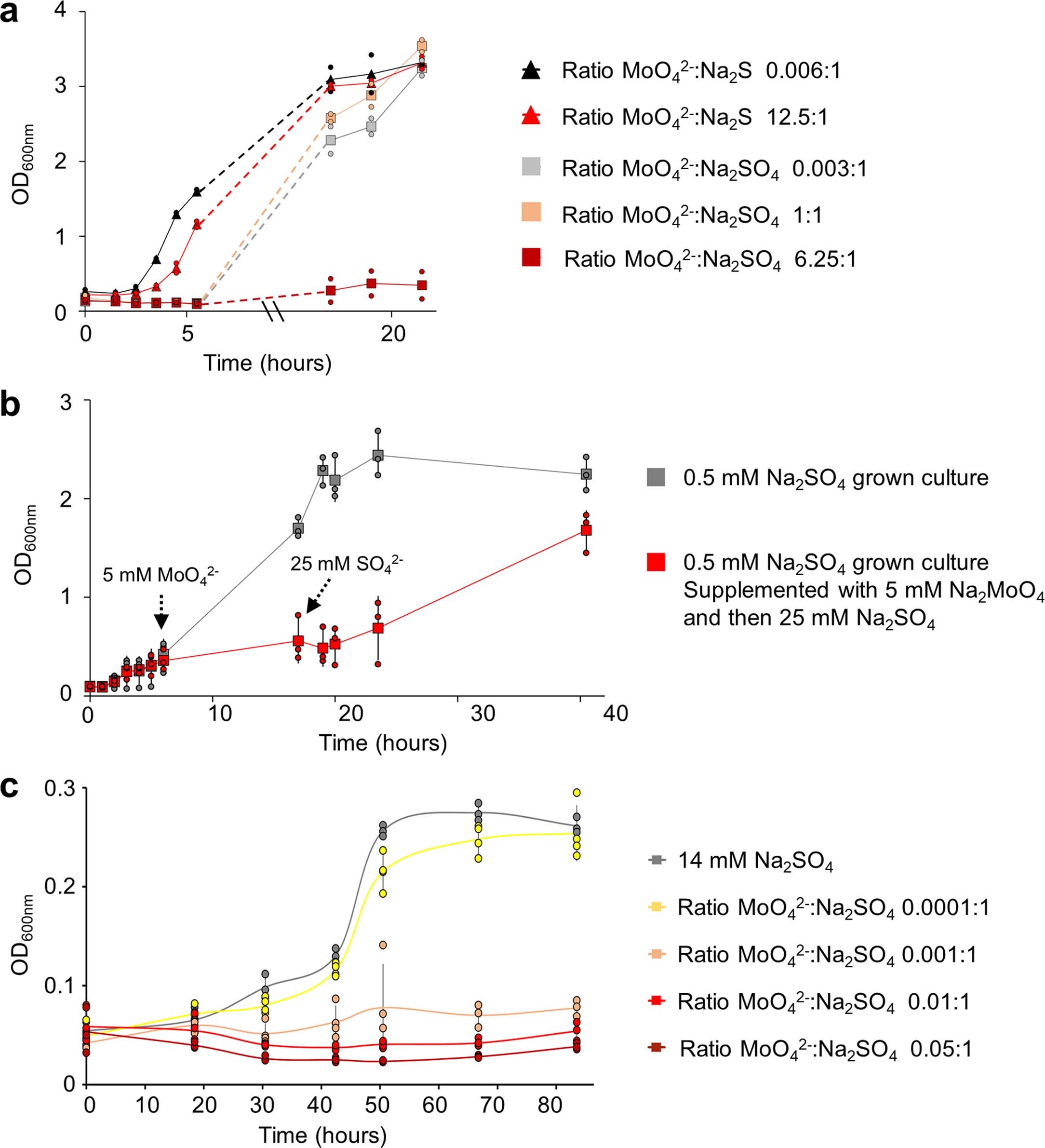 Extended Data Fig. 2: Impact of Molybdate (
                        
                          
                        
                        $${\mathbf{MoO}}_{\mathbf{4}}^{{\mathbf{2-}}}$$
                        
                          
                            
                              MoO
                            
                            
                              4
                            
                            
                              2-
                            
                          
                        
                      ) on 
                        
                          
                        
                        $${\mathbf{SO}}_{\mathbf{4}}^{{\mathbf{2-}}}$$
                        
                          
                            
                              SO
                            
                            
                              4
                            
                            
                              2-
                            
                          
                        
                      -reducing archaea.