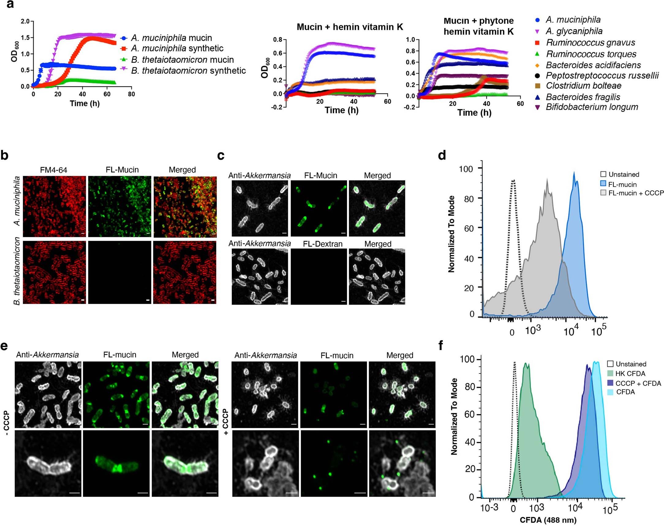 Extended Data Fig. 1