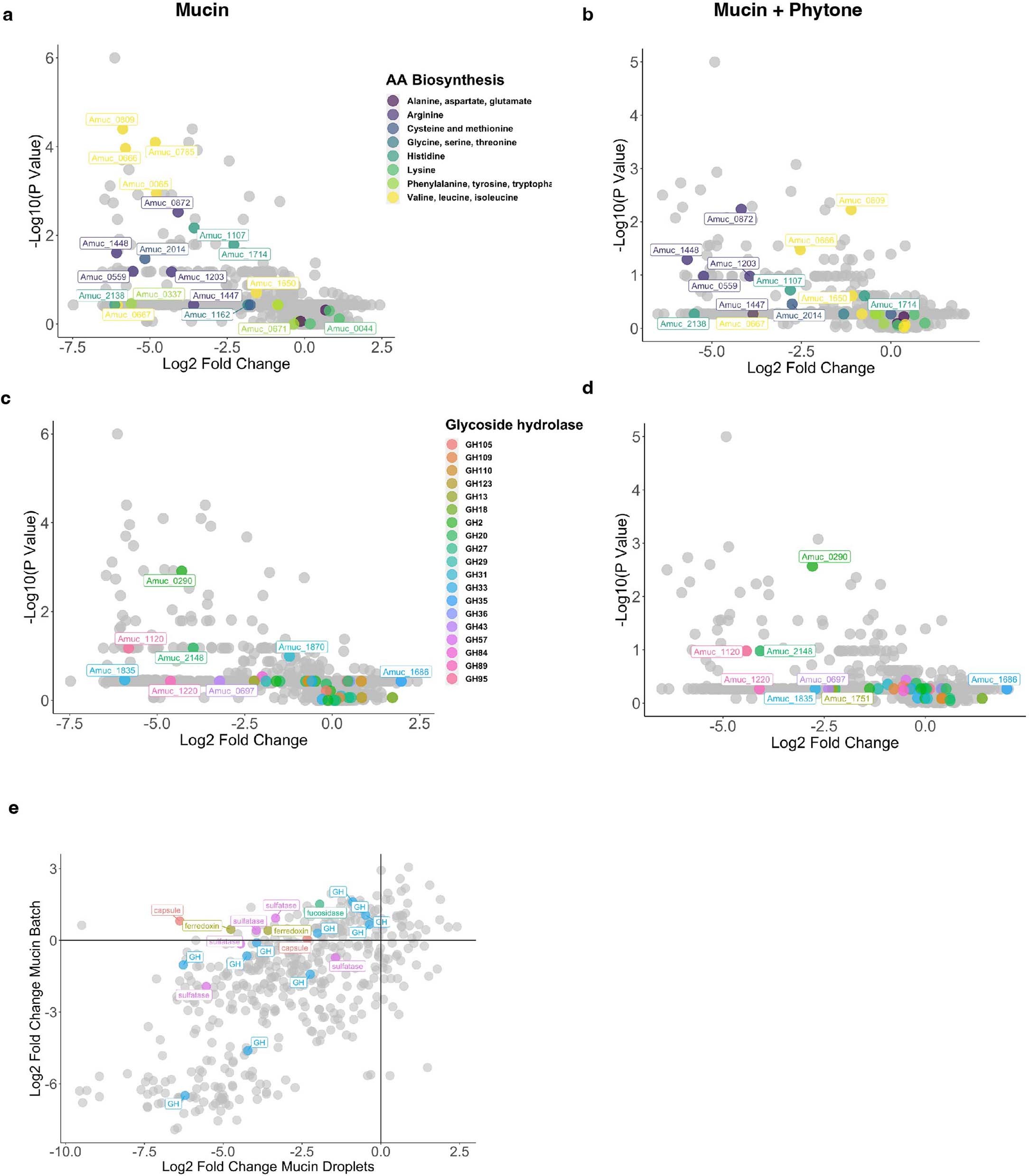 Extended Data Fig. 3: INSeq analysis of relative nutritional requirements for A. muciniphila to grow in mucin medium and the role of putative glycan hydrolases.