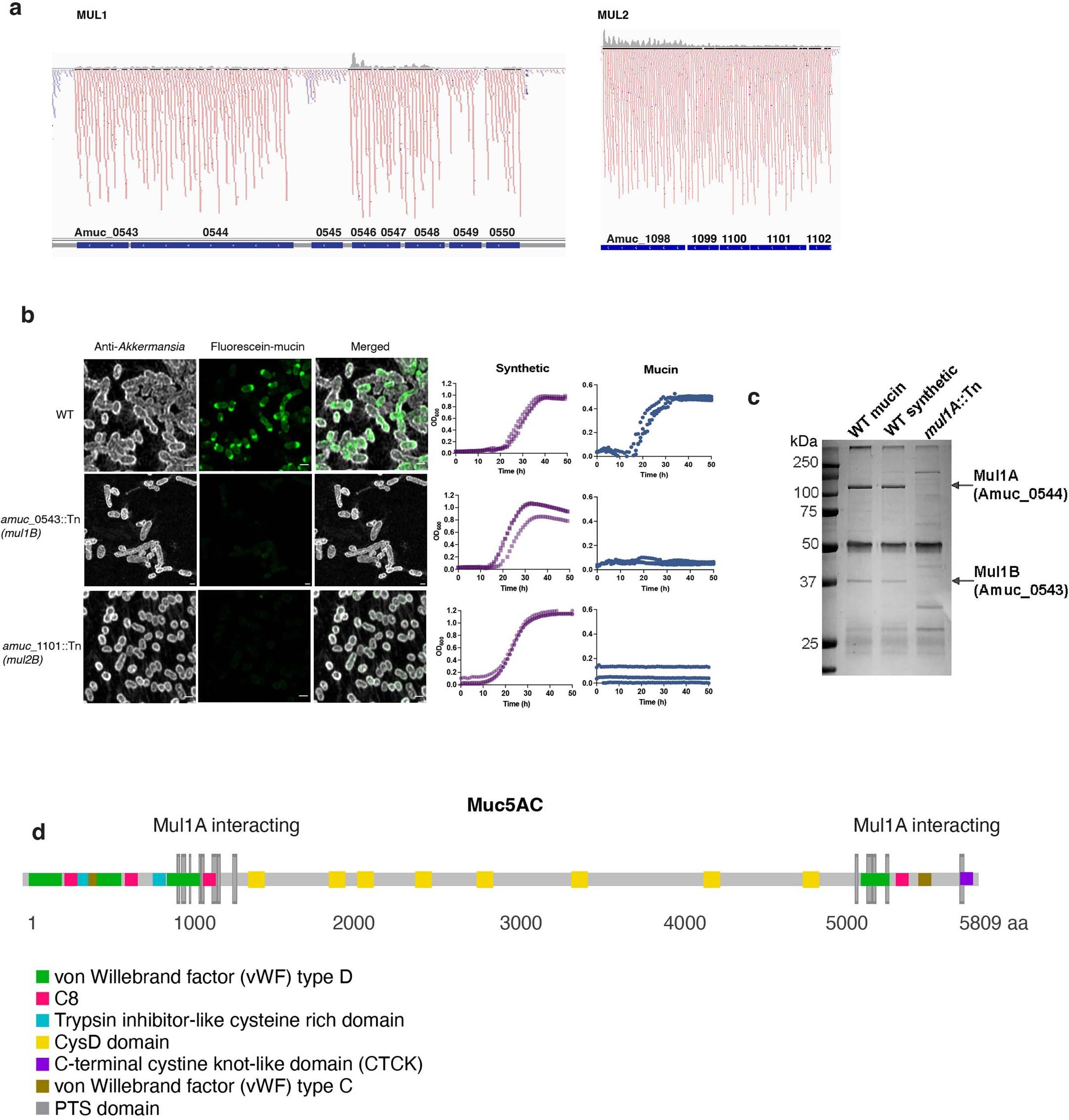 Extended Data Fig. 5