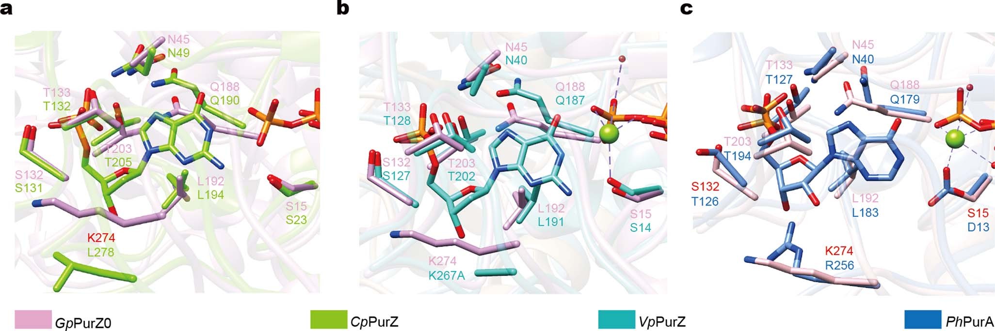 Extended Data Fig. 5