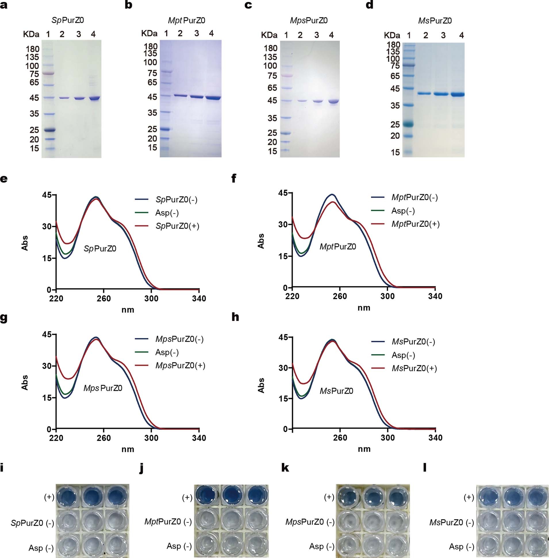 Extended Data Fig. 9