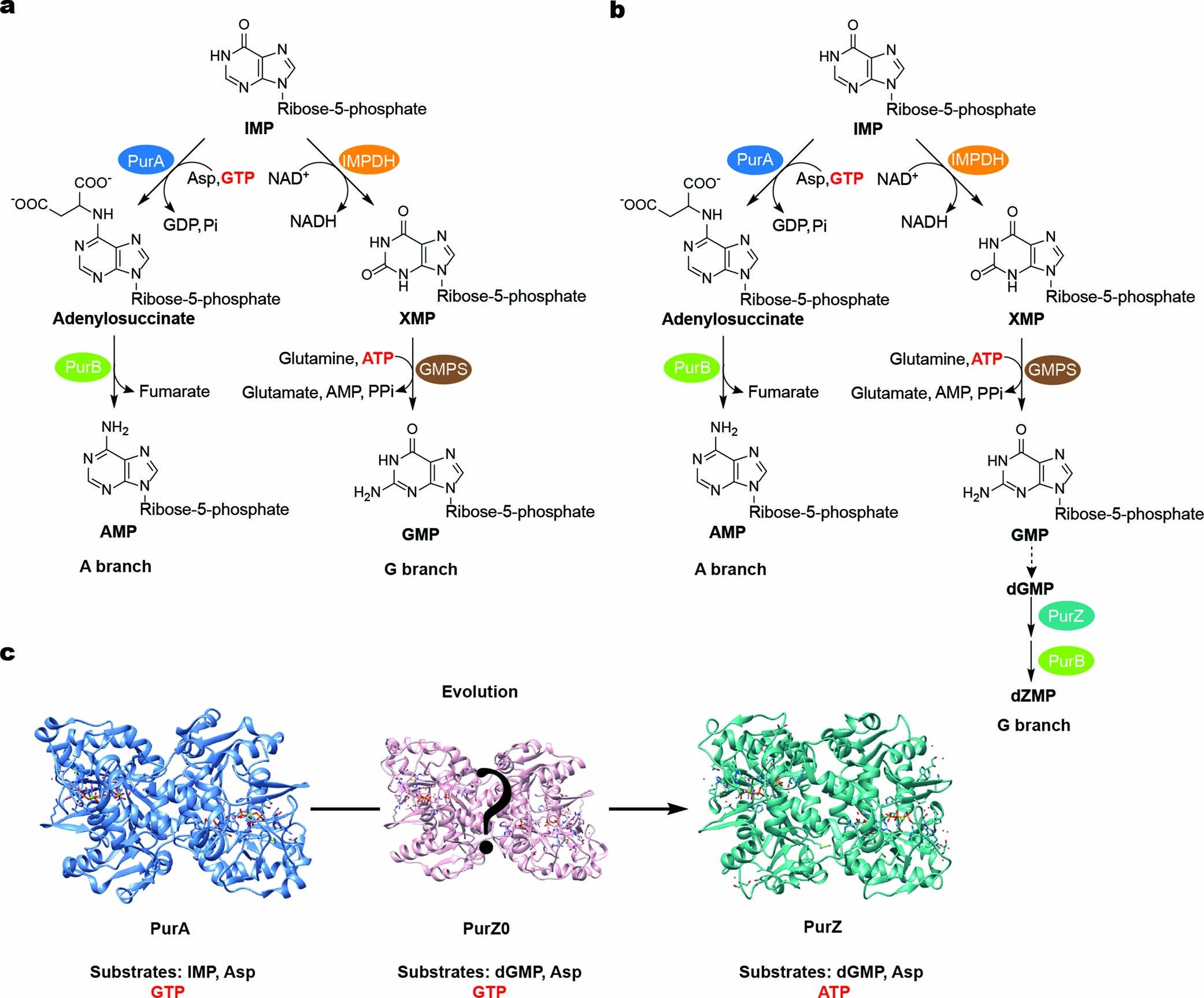 Extended Data Fig. 1