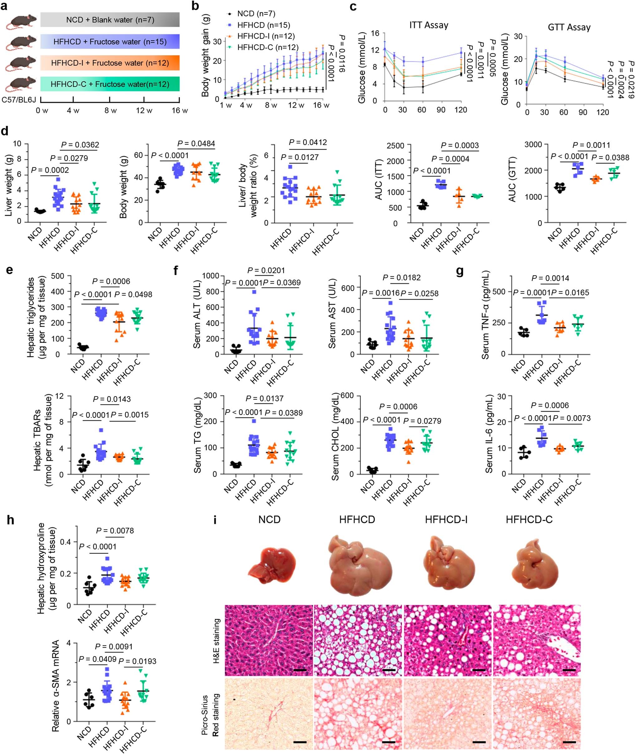Extended Data Fig. 1: Inulin ameliorated HFHCD induced NASH in mice.