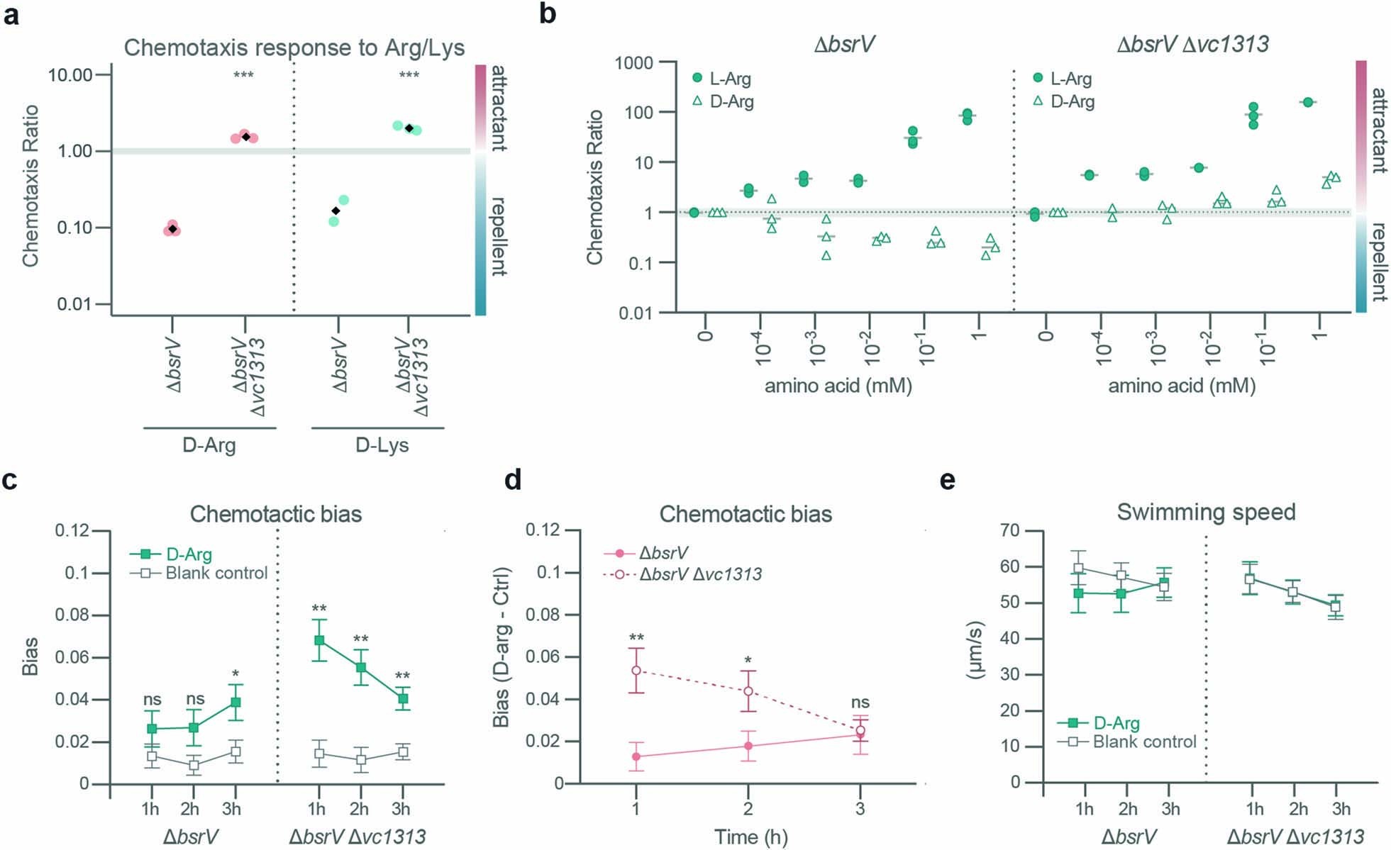 Extended Data Fig. 4: Chemotactic ability of V. cholerae vc1313 mutant towards Arg.