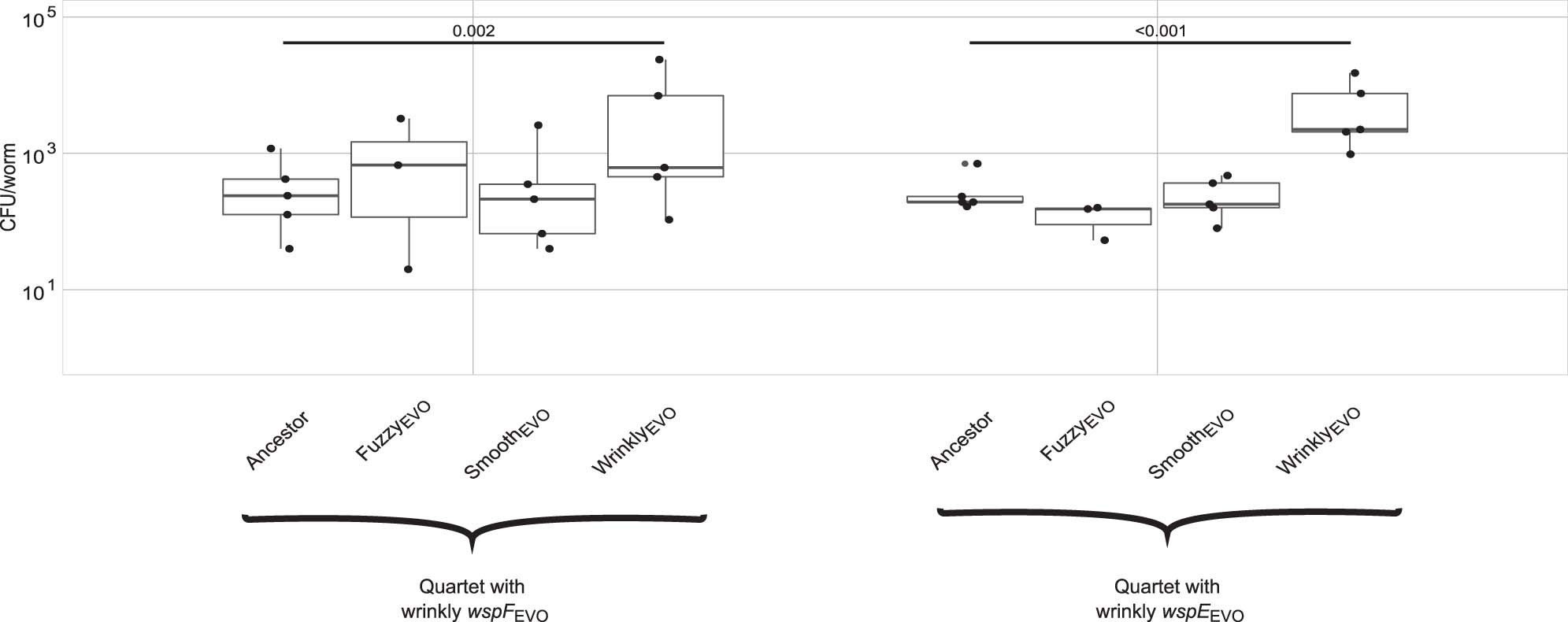 Extended Data Fig. 8: Increased competitive fitness of wrinkly isolates in bacterial mixtures of four strains (quartets).
